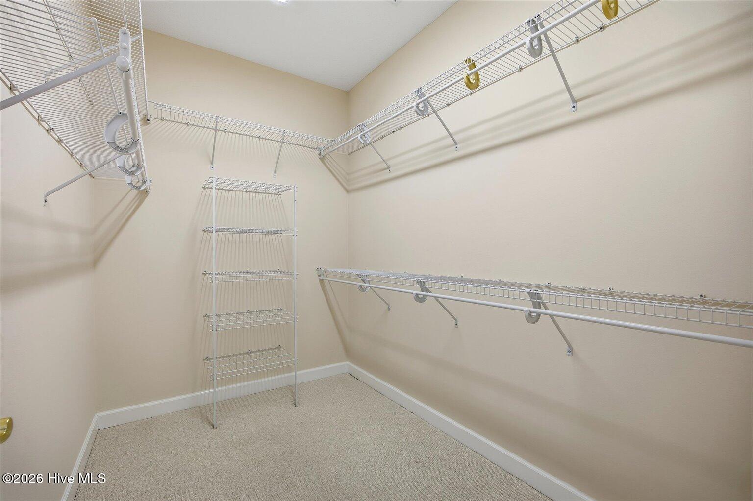 100553011 | Photo 32