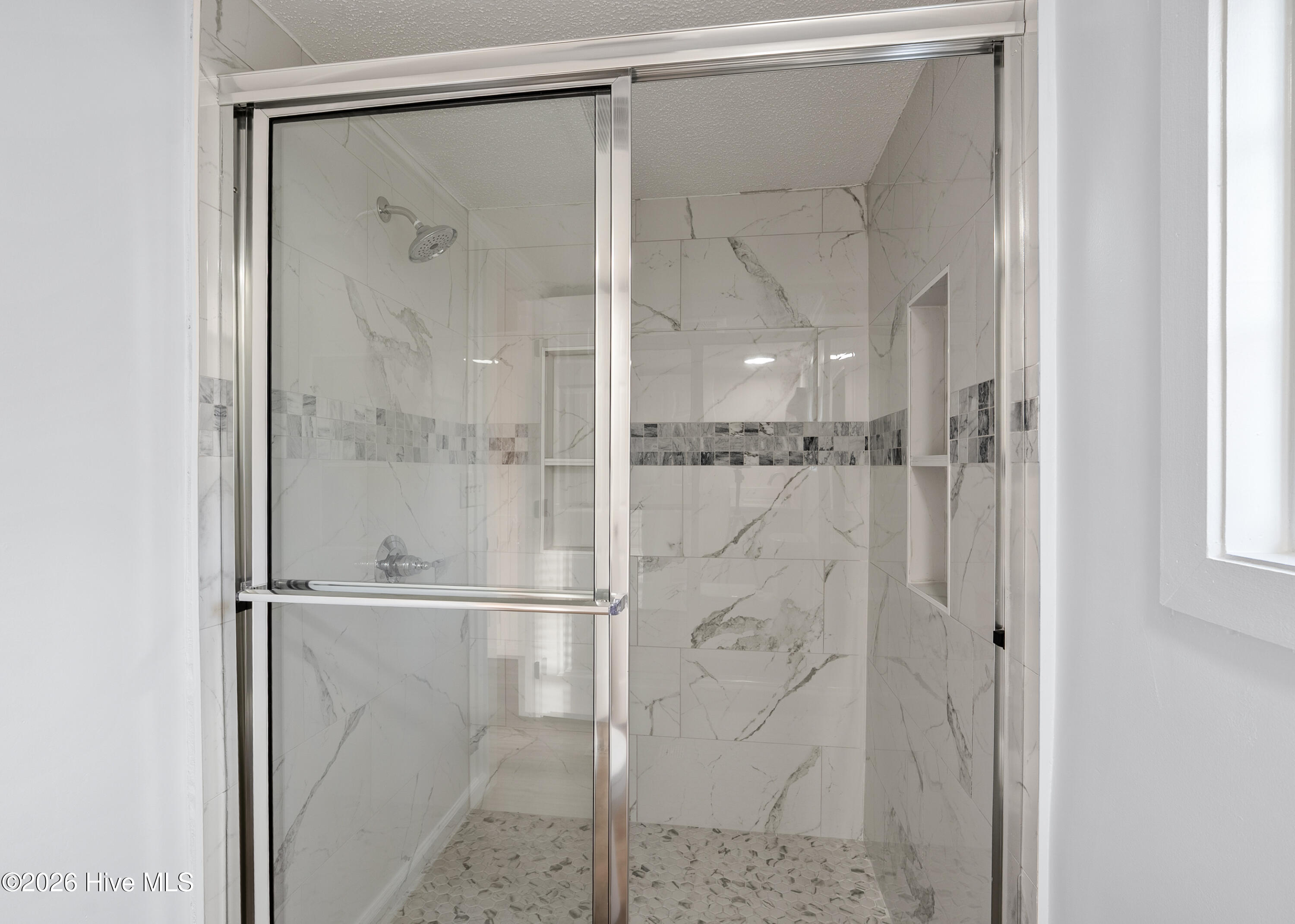 100561099 | Photo 20