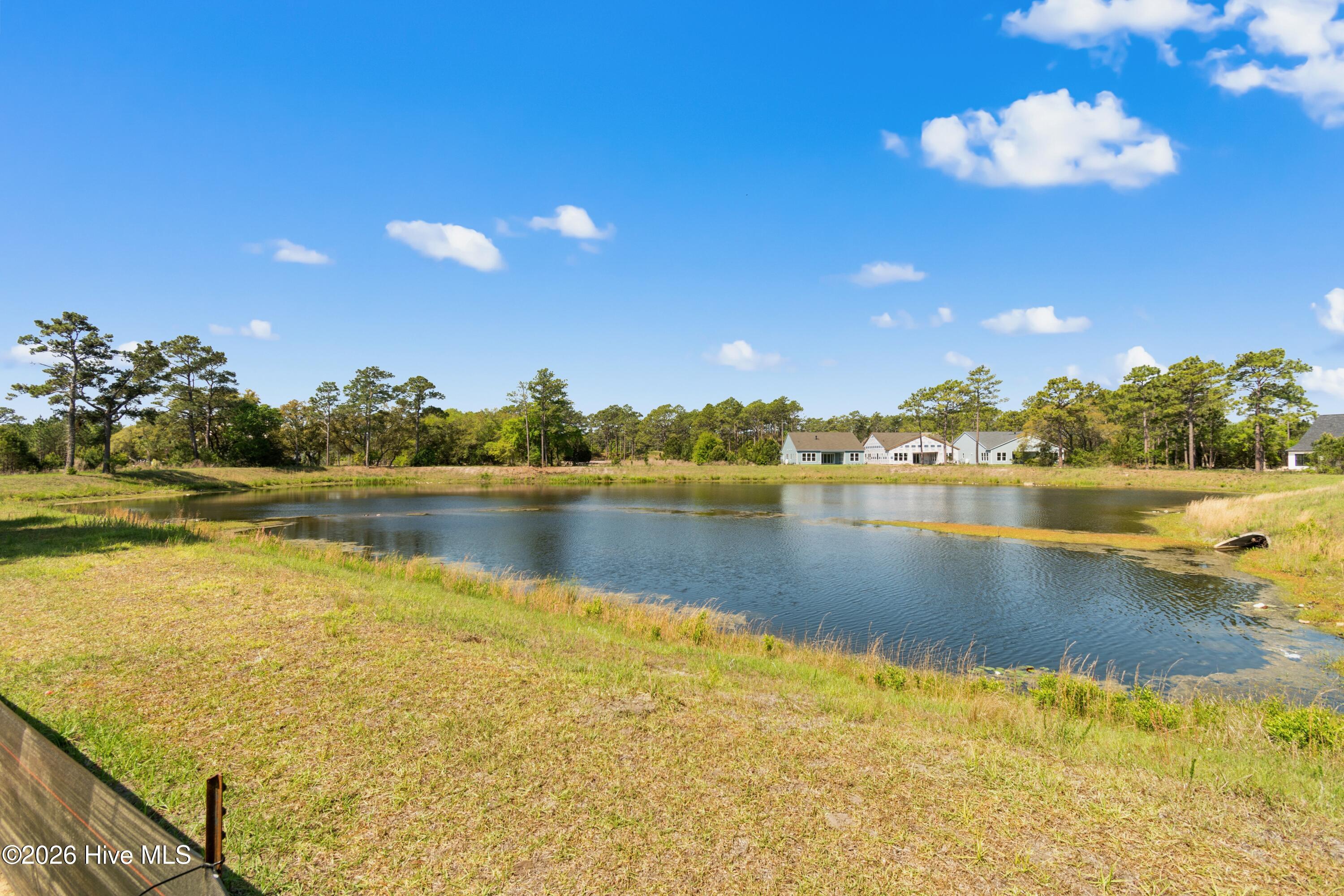 100555339 | Photo 29