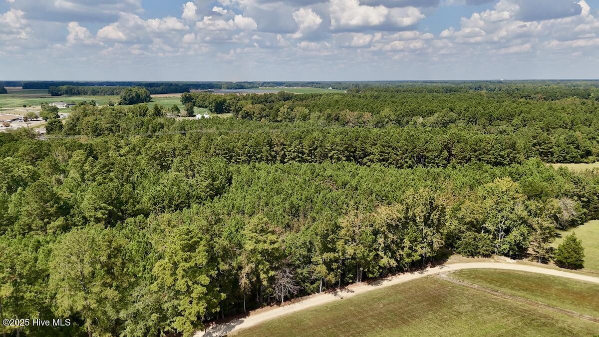 100531803 | Photo 11