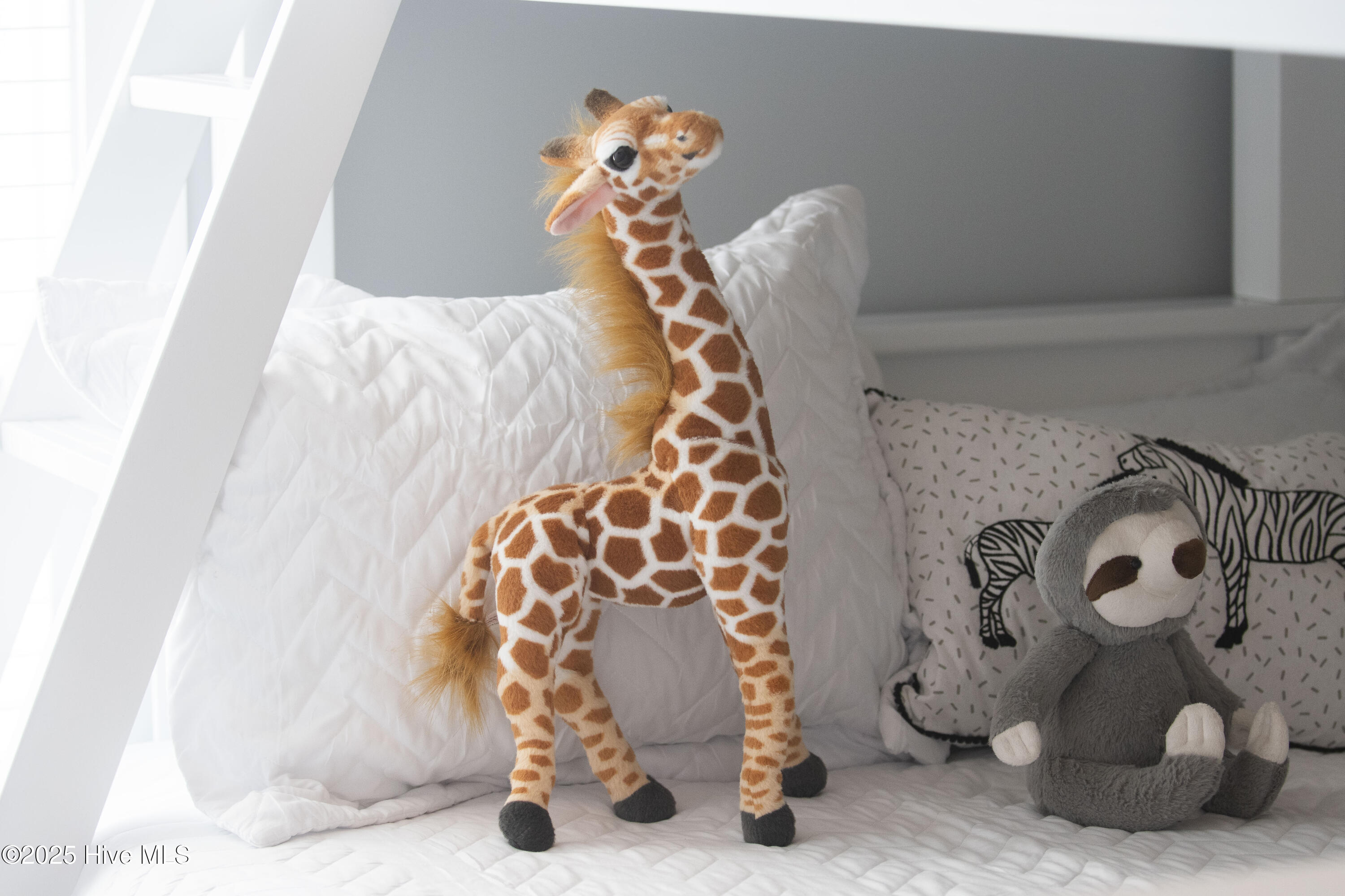 100541524 | Photo 21