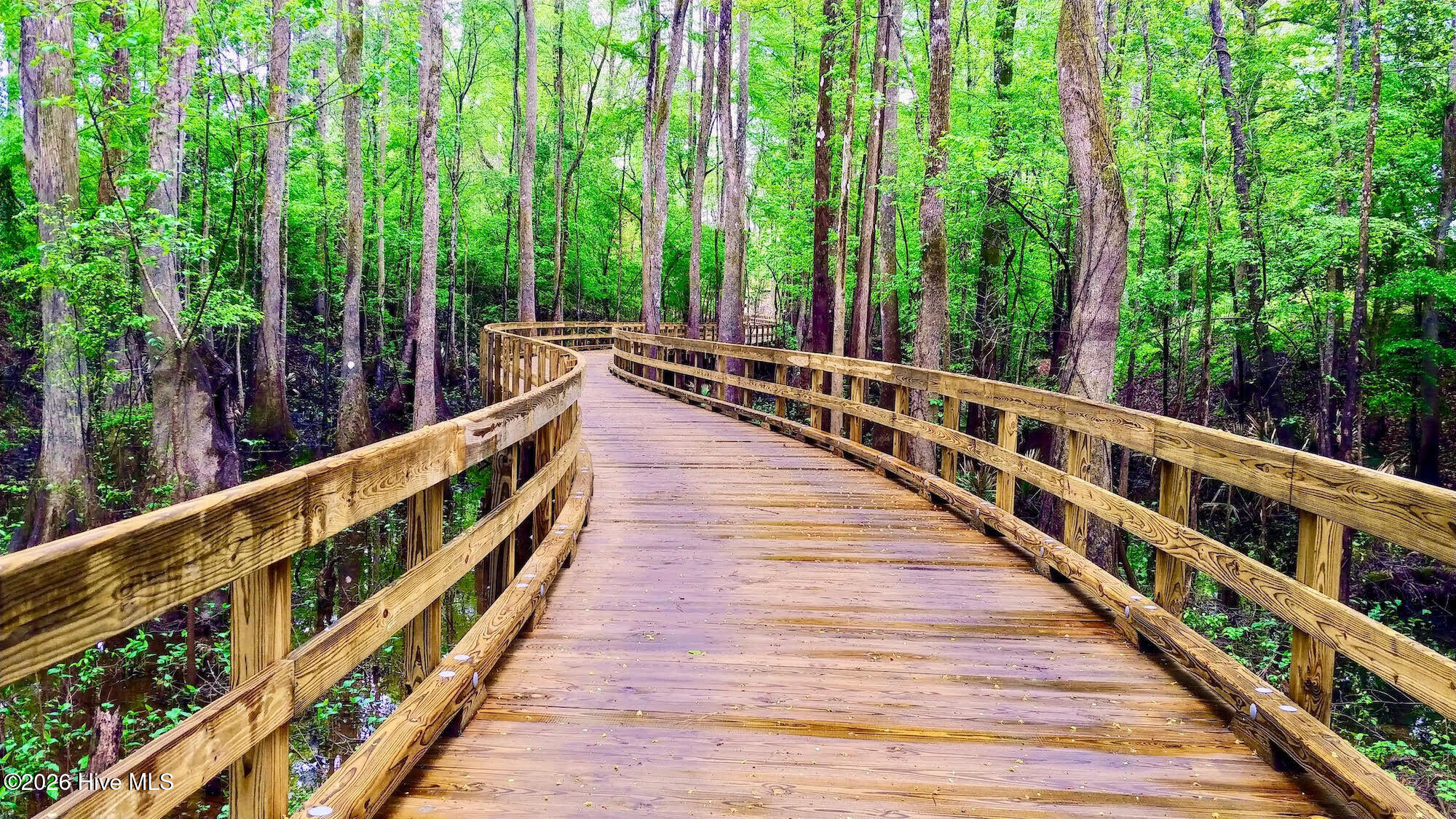 100555824 | Photo 11