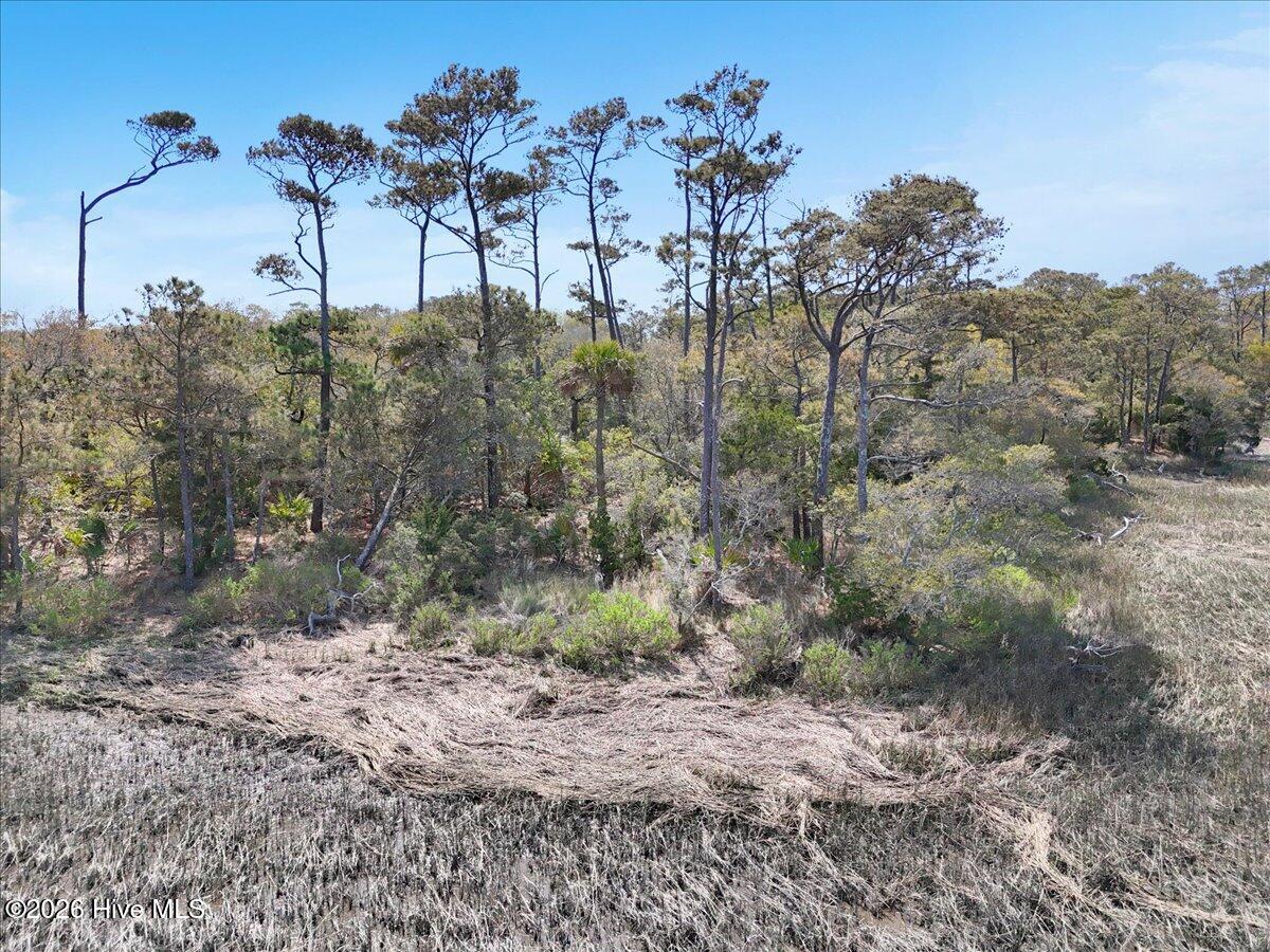 100568495 | Photo 10