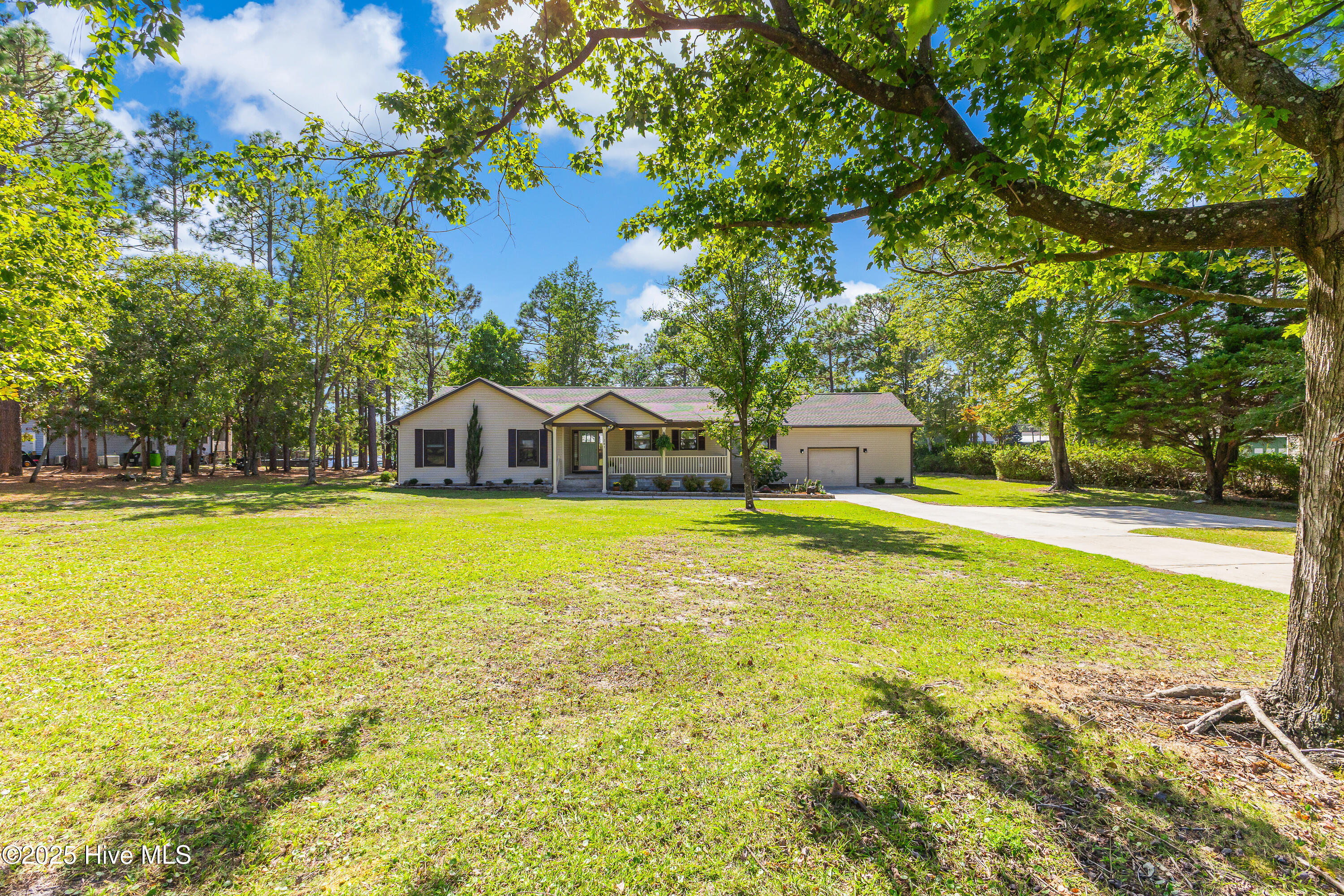 100538127 | Photo 51