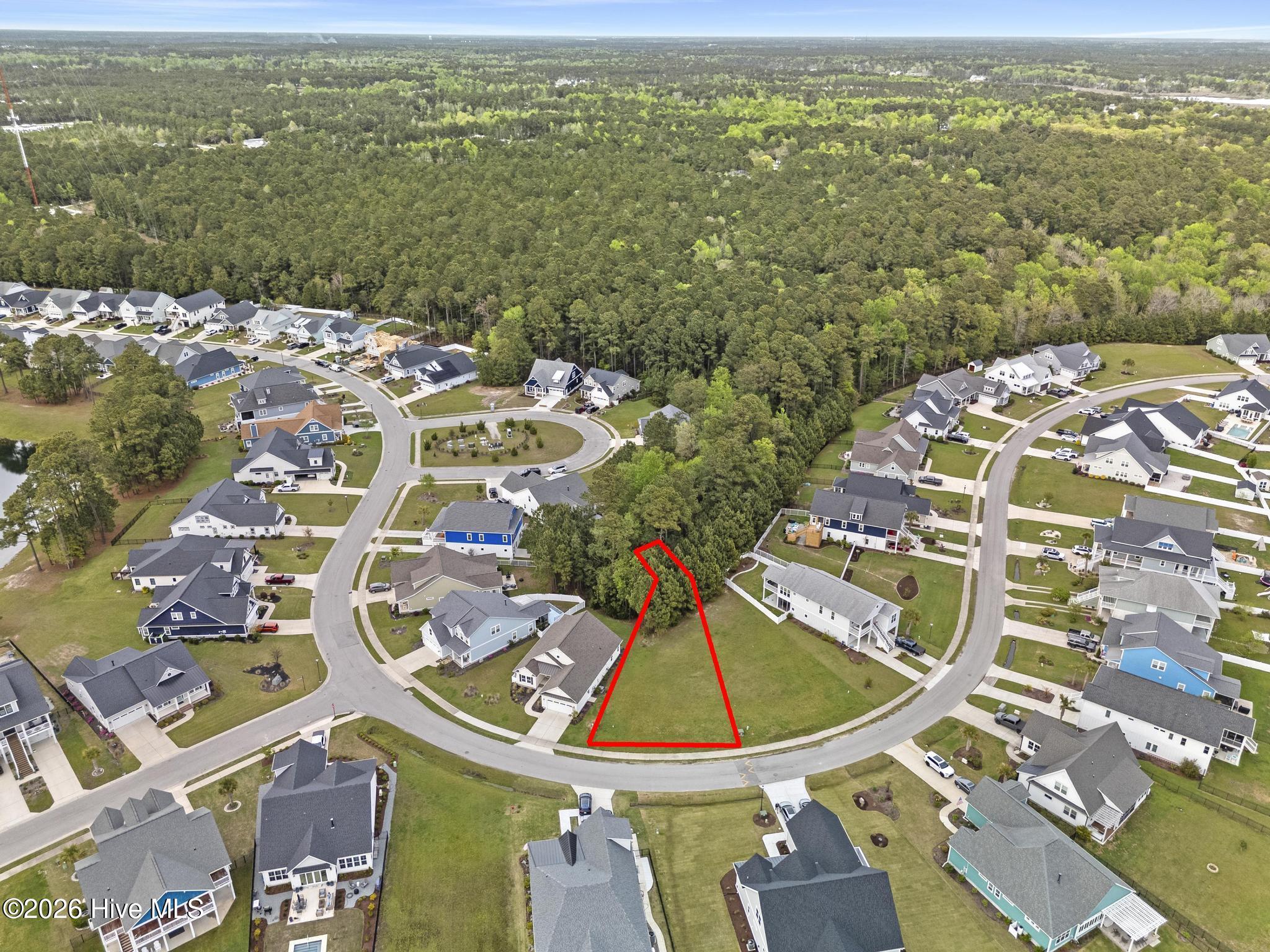 100564702 | Photo 18