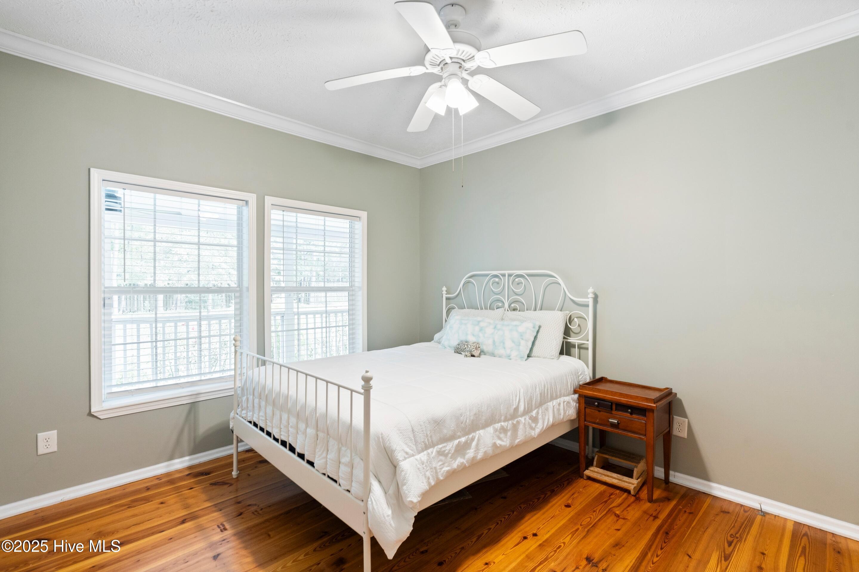 100535134 | Photo 25