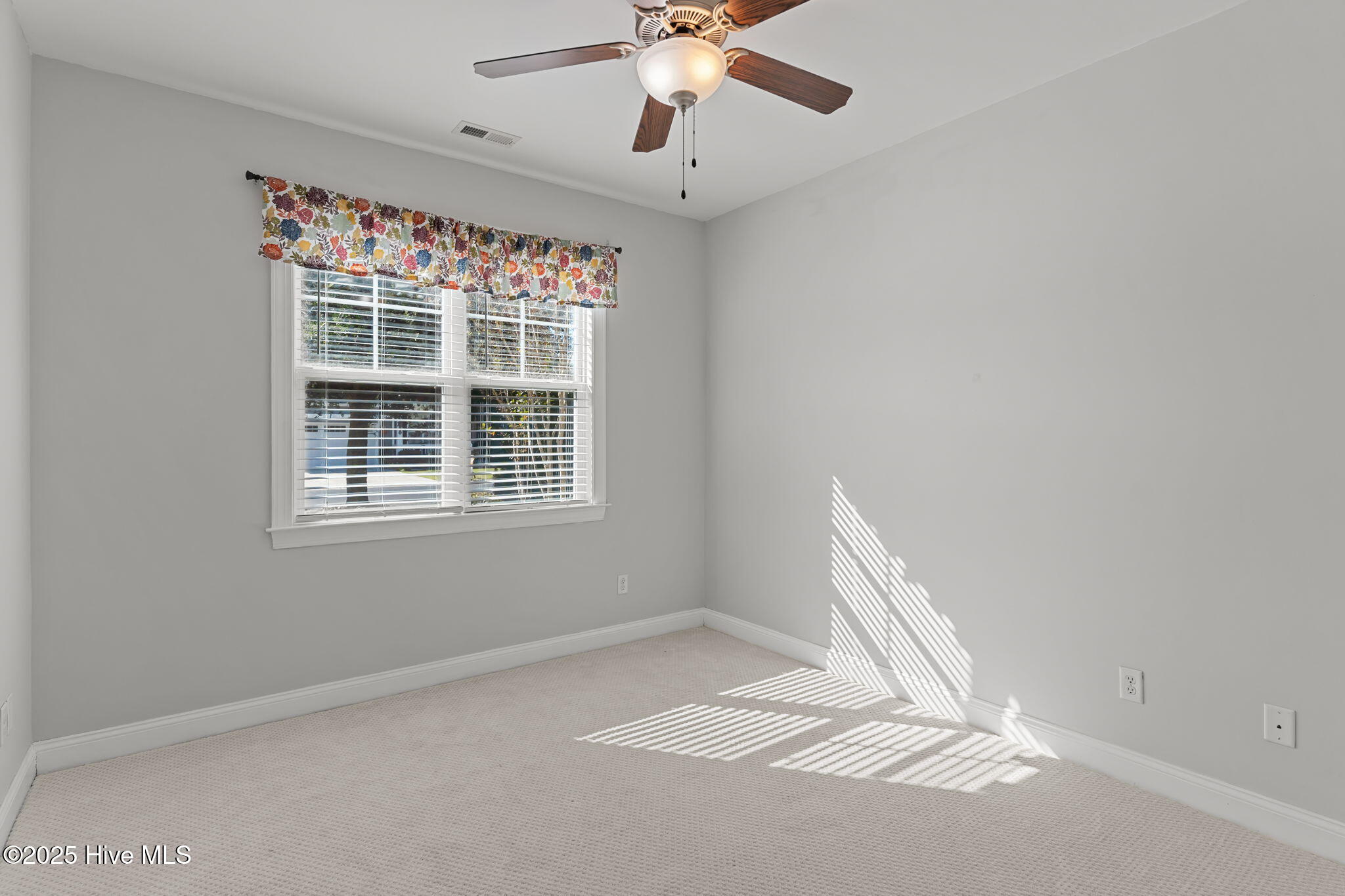 100537665 | Photo 28