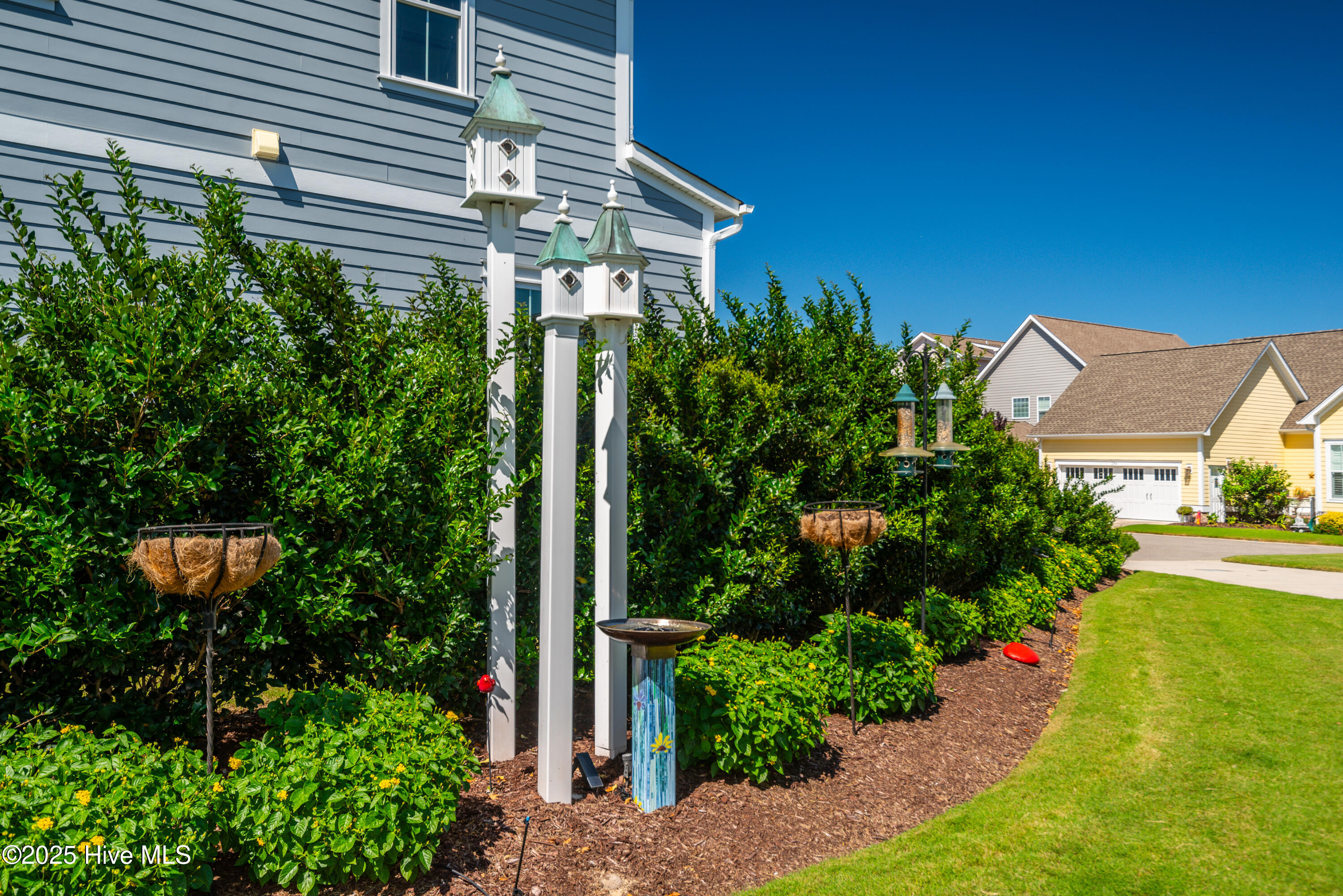 100530008 | Photo 56