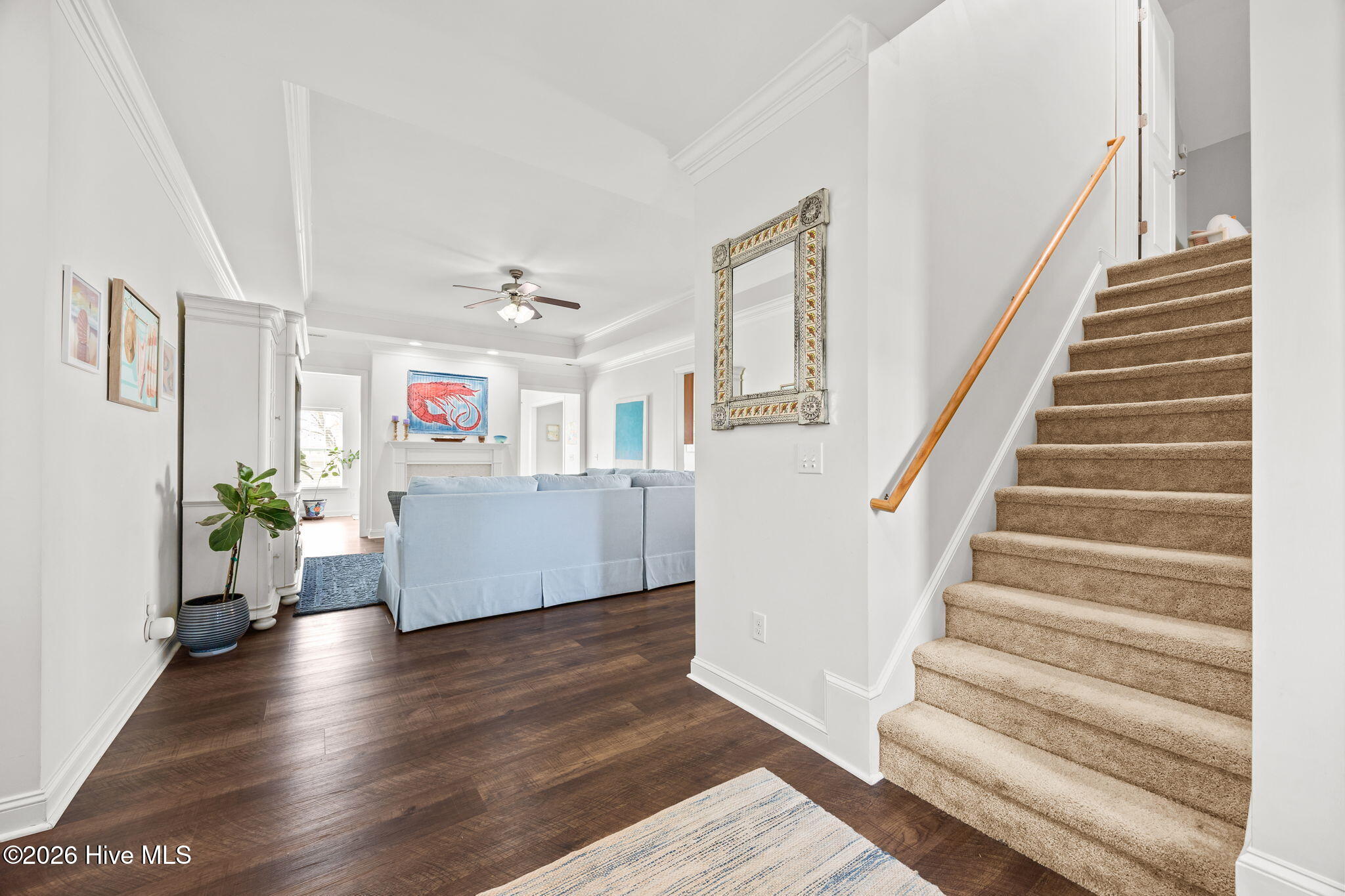 100558969 | Photo 49