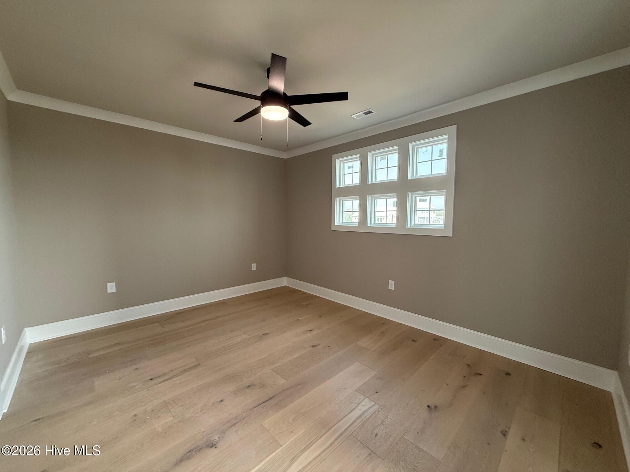 100554373 | Photo 18