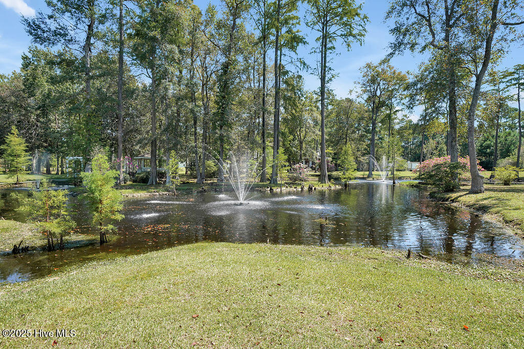 100529552 | Photo 56