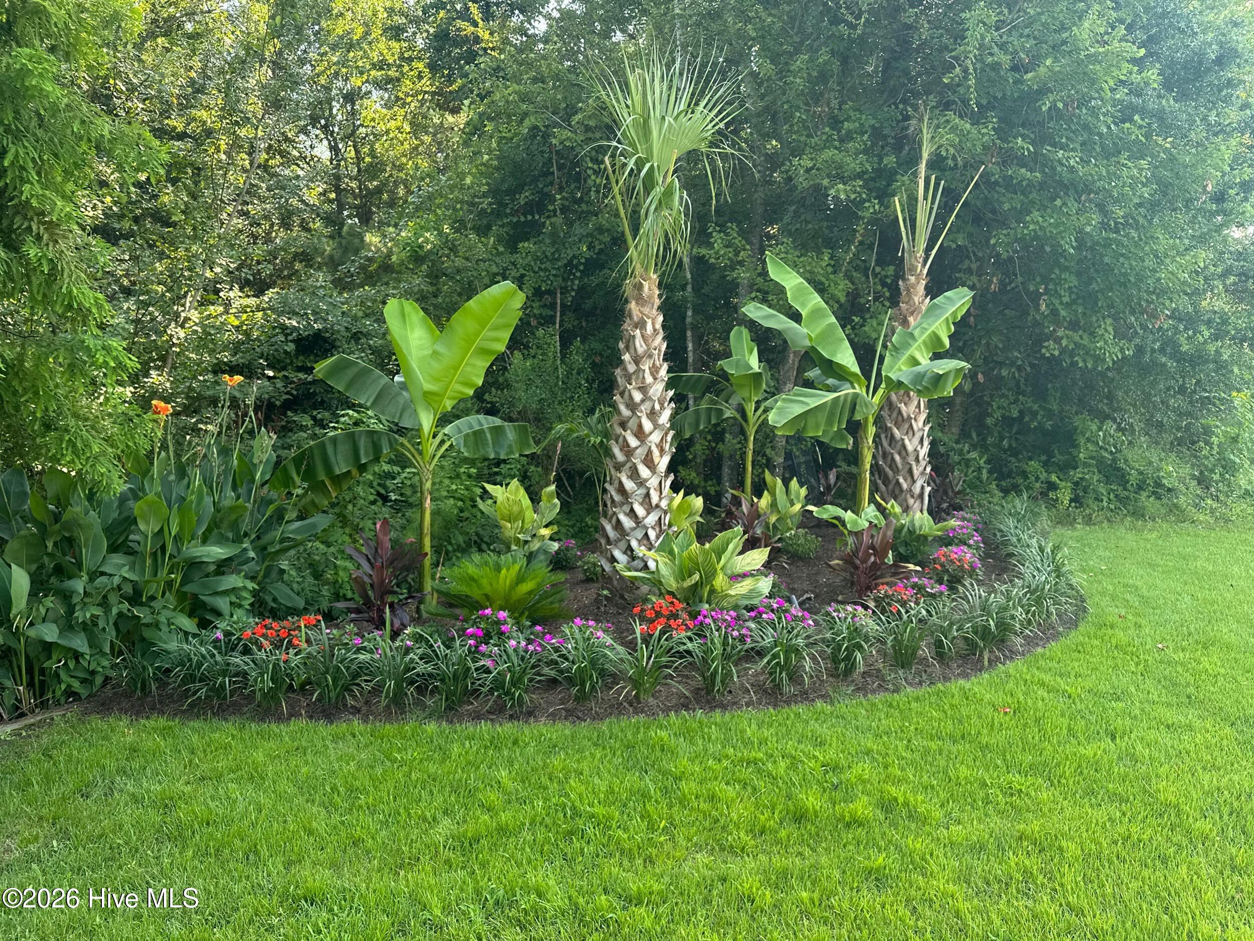 100555561 | Photo 58