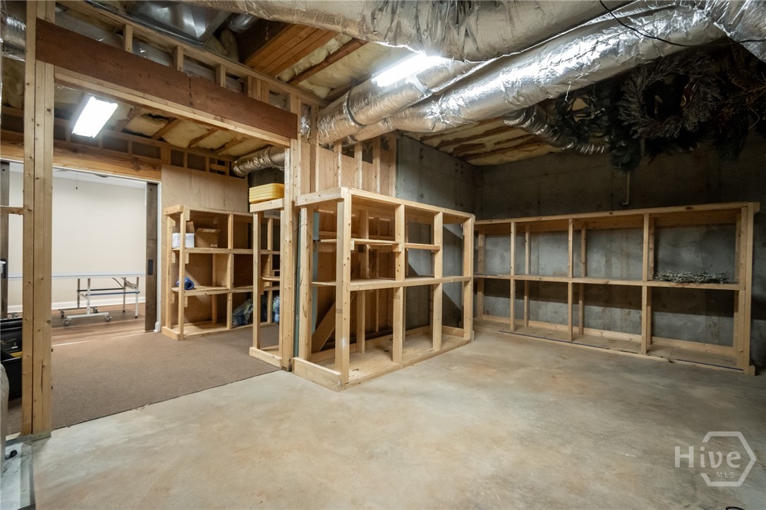 Basement Storage