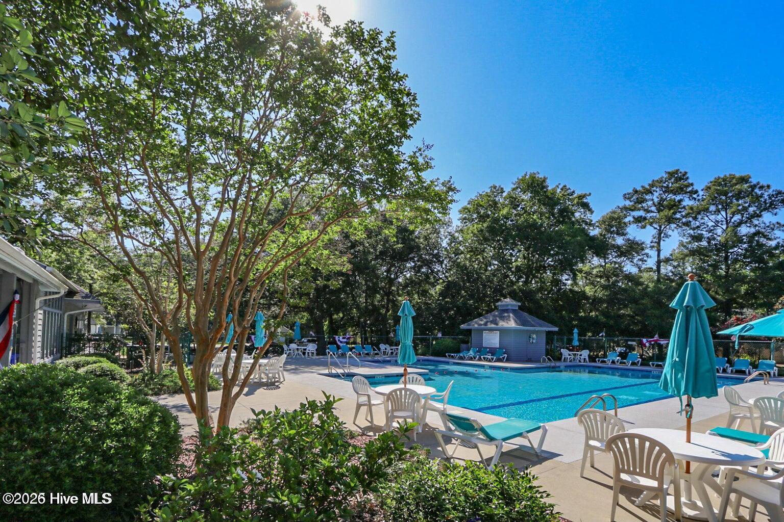 100556974 | Photo 18