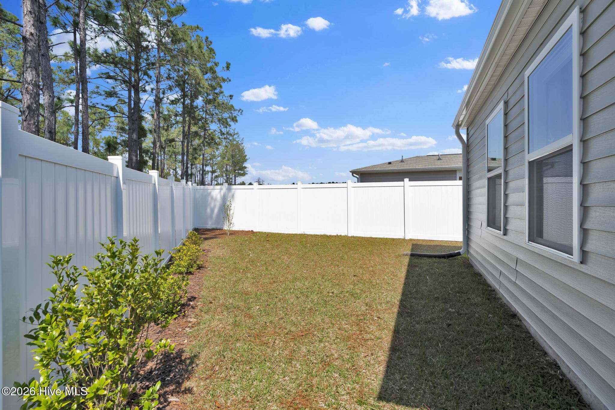 100563987 | Photo 35