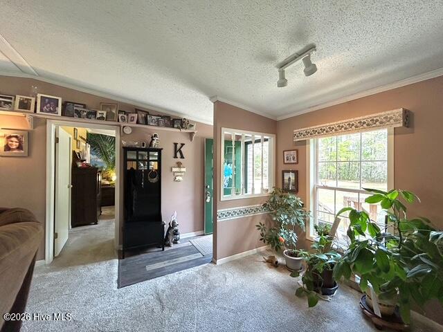 100566420 | Photo 27