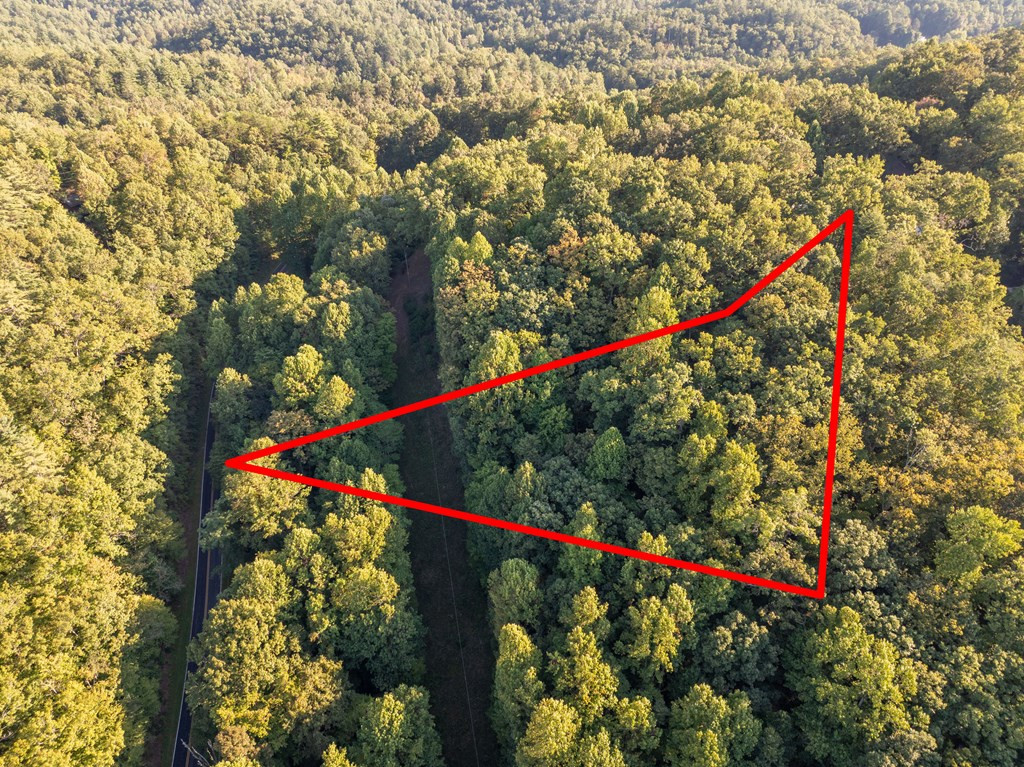 Exterior photo of Lot 7 7 Madison Lane, Robbinsville, NC 28771. MLS: 98543849
