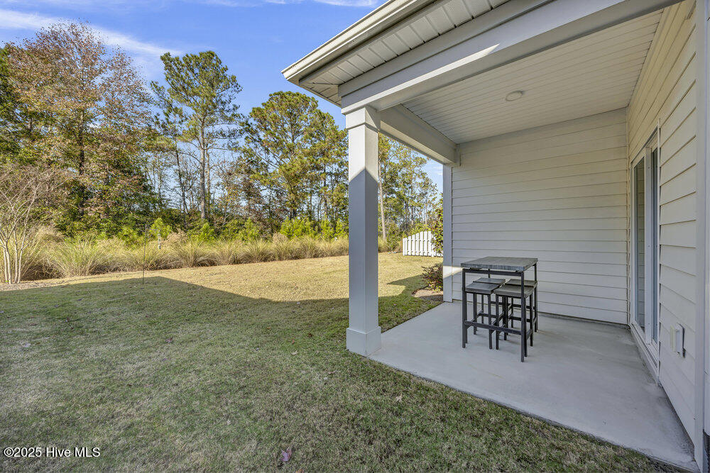 100541621 | Photo 25