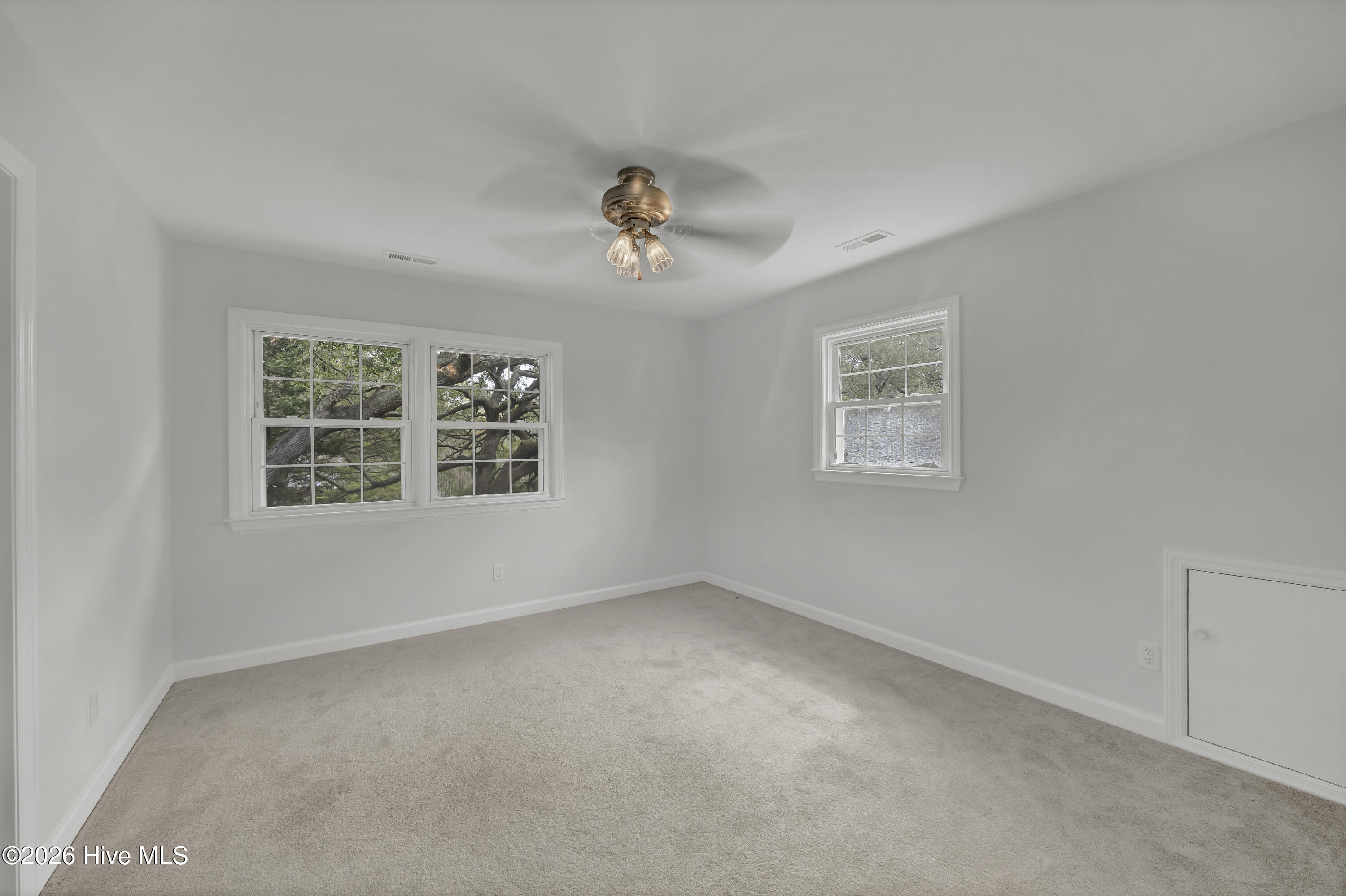 100563507 | Photo 11