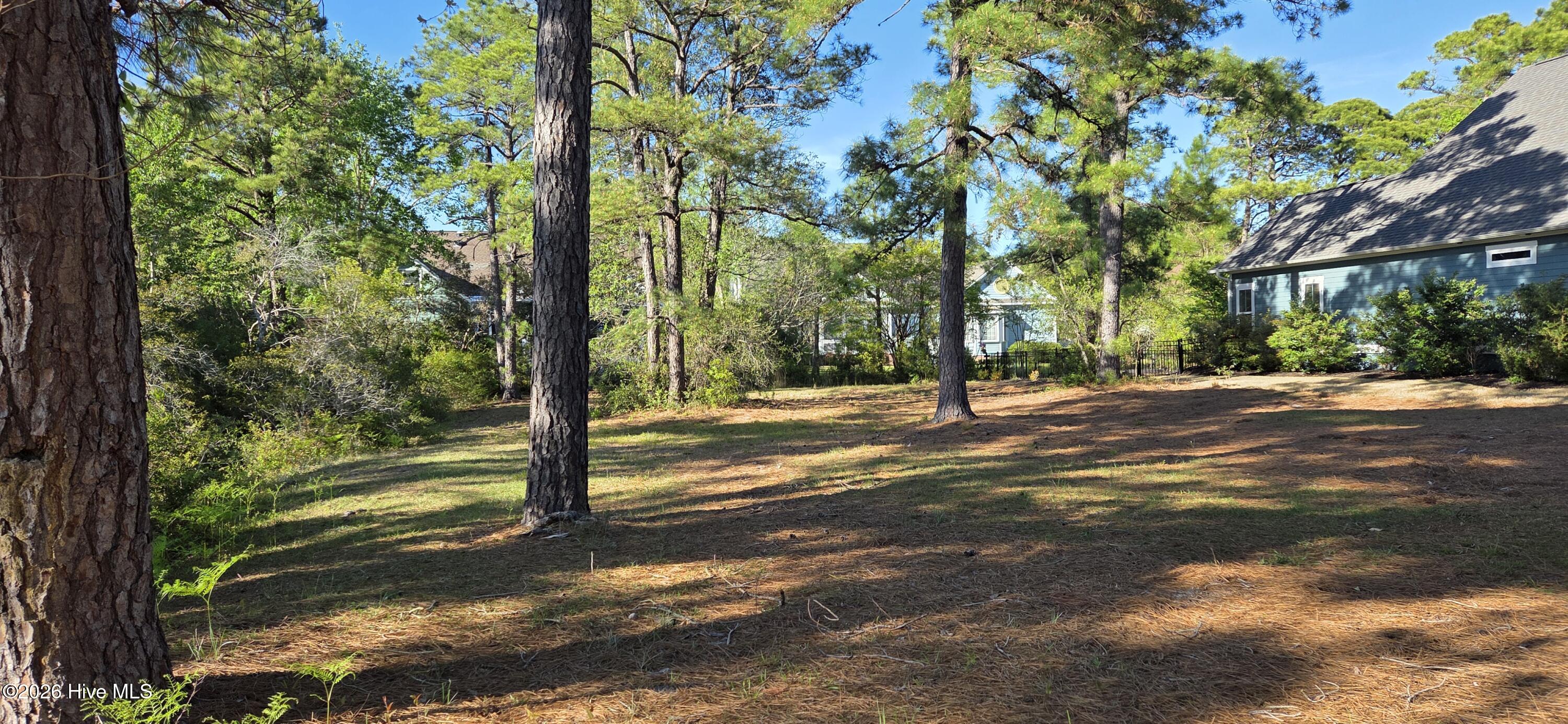 100566428 | Photo 12