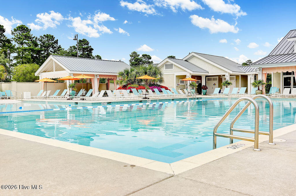 100558721 | Photo 59