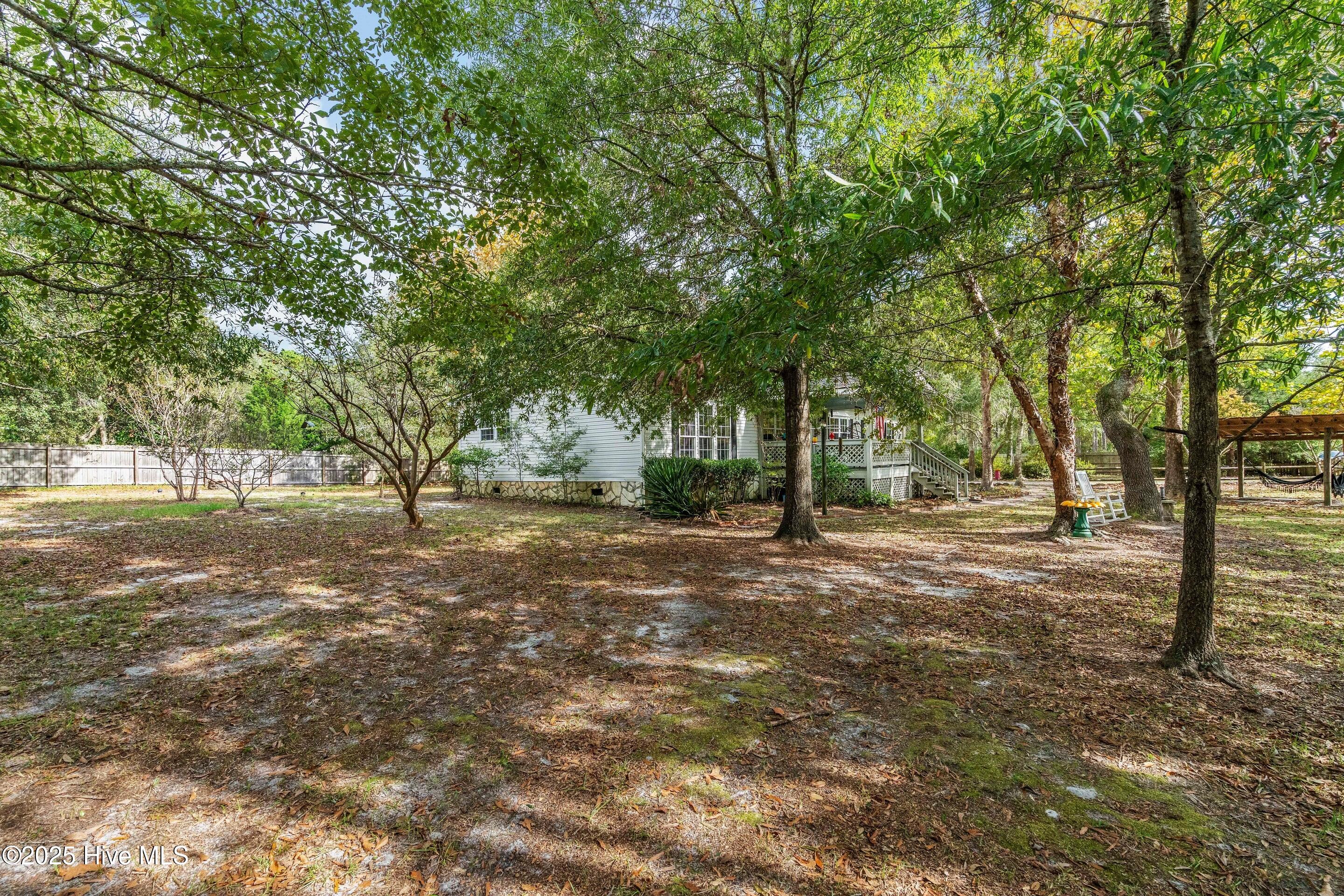 100535667 | Photo 73