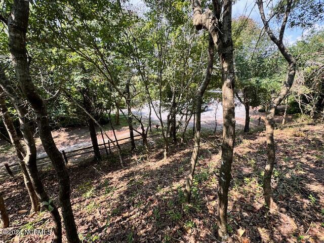 100570104 | Photo 10