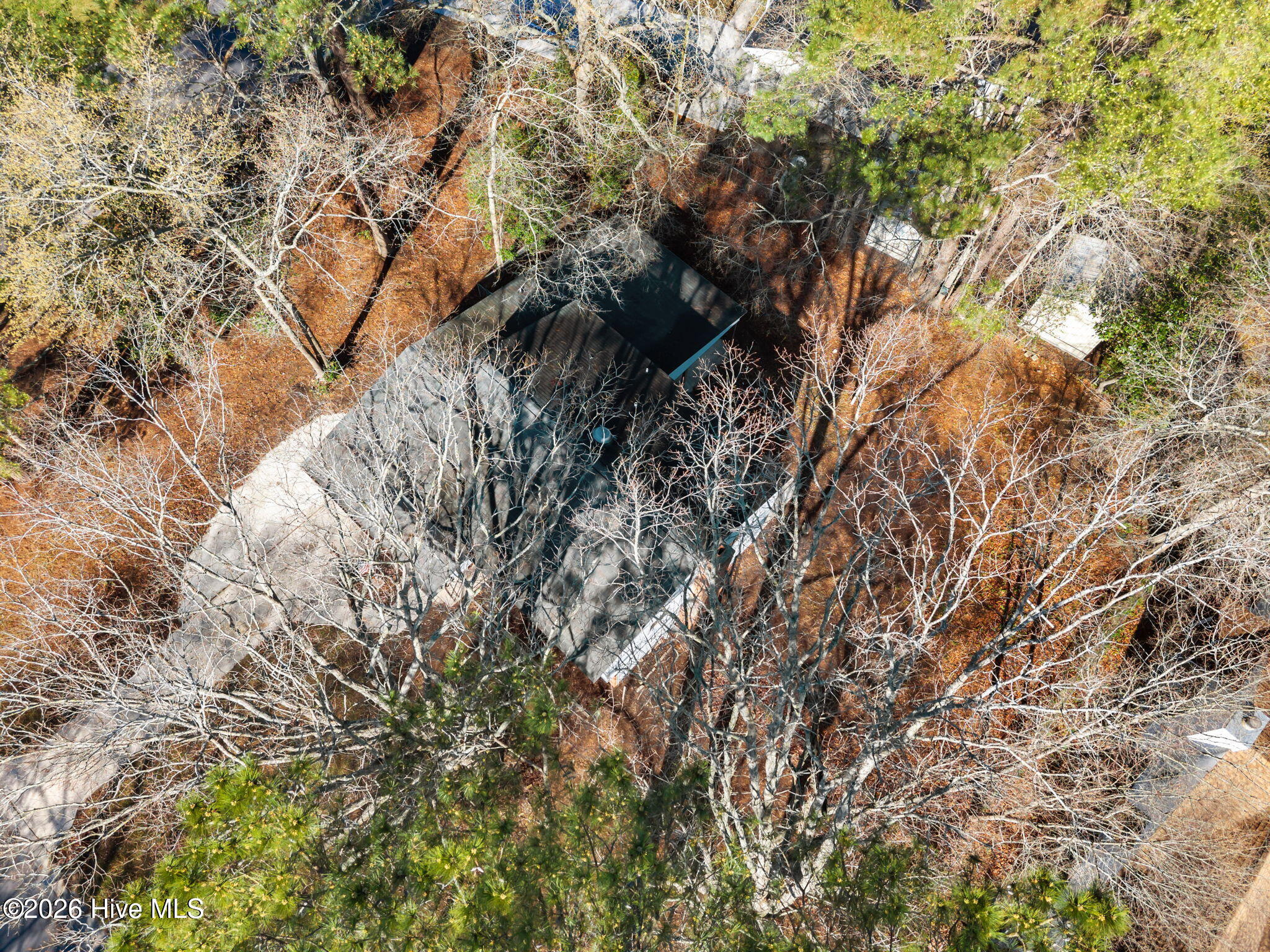 100560712 | Photo 37