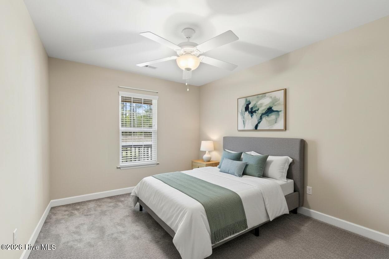 100554098 | Photo 25