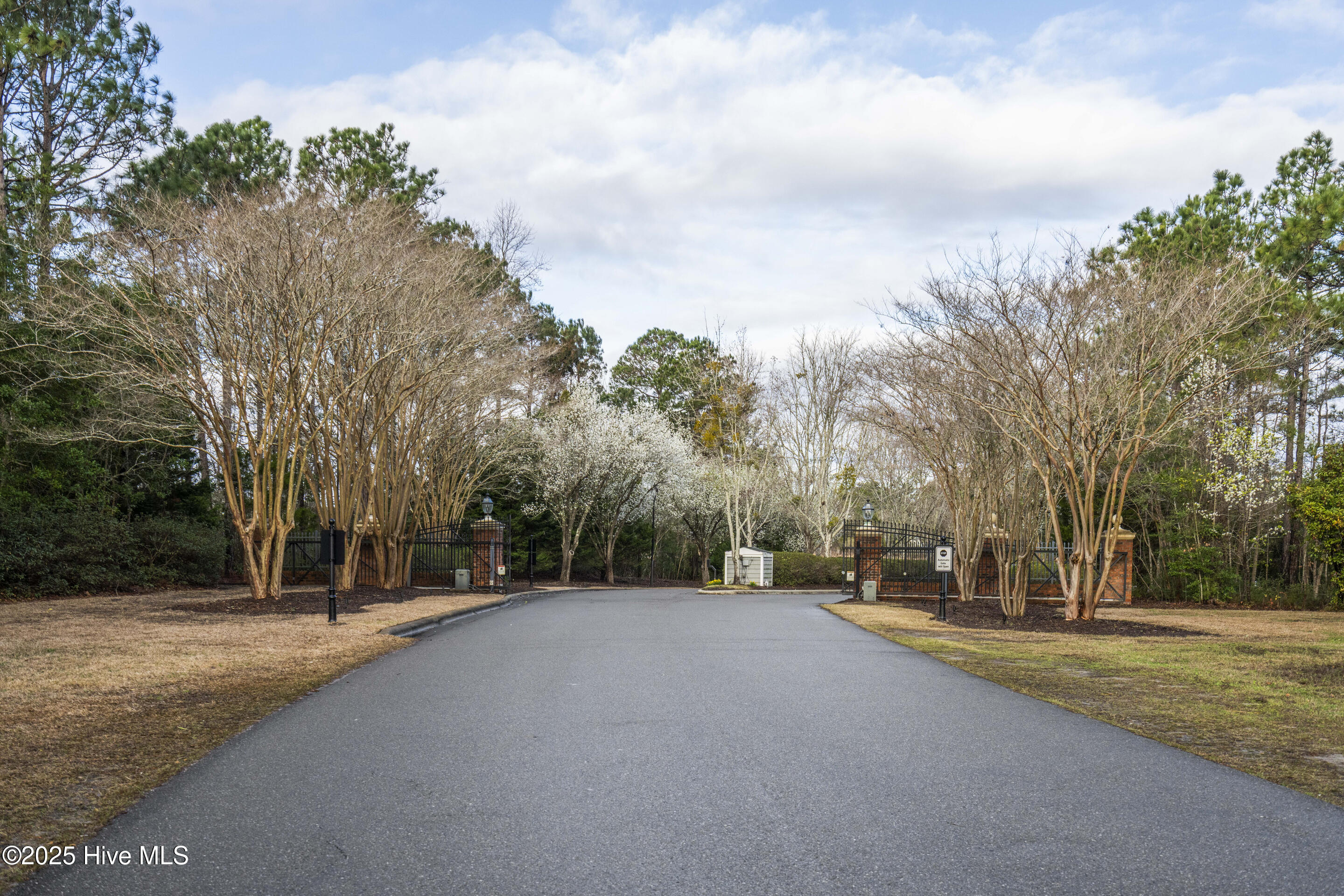 100494570 | Photo 19