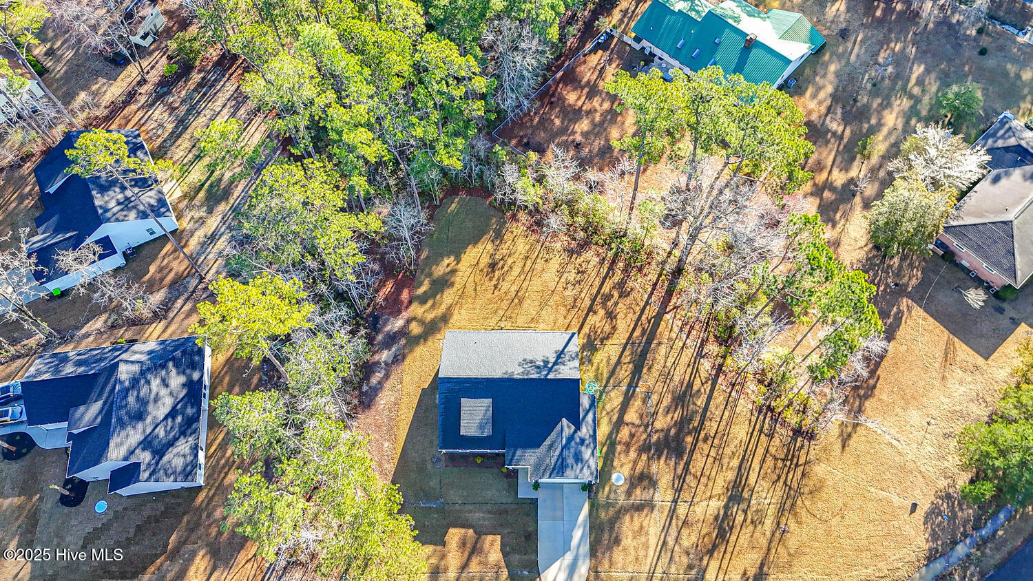 100541547 | Photo 44