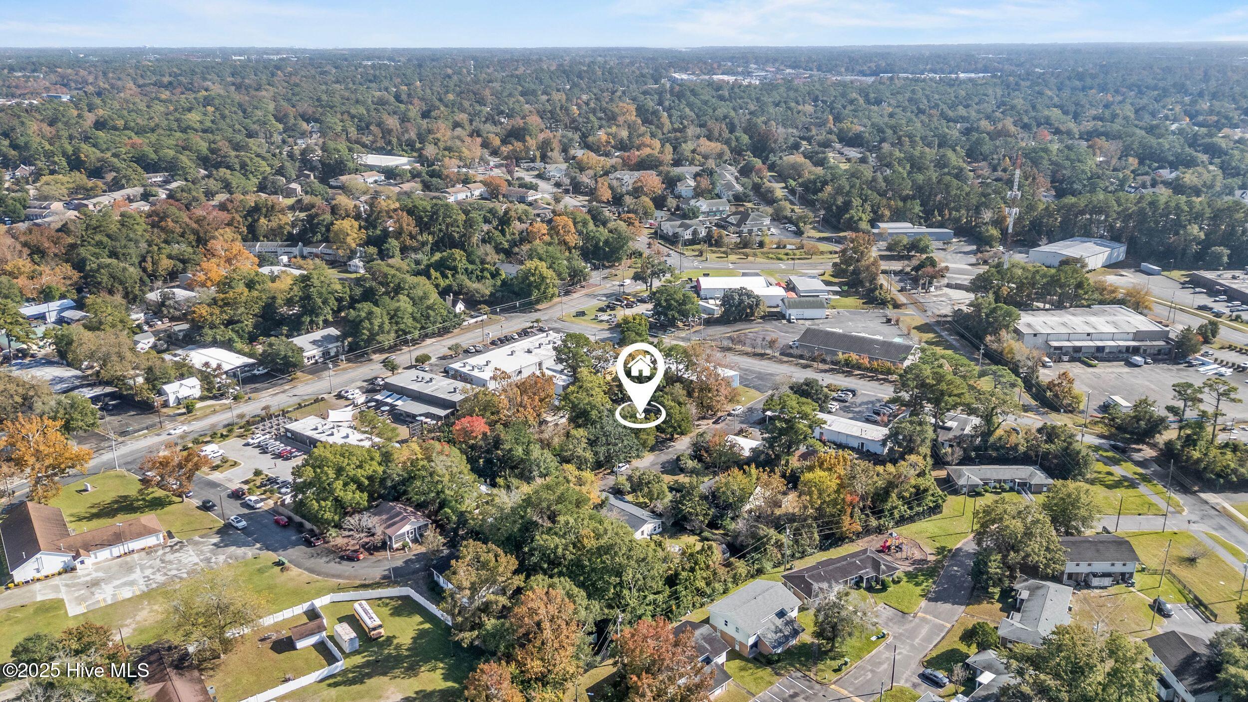 100520819 | Photo 48