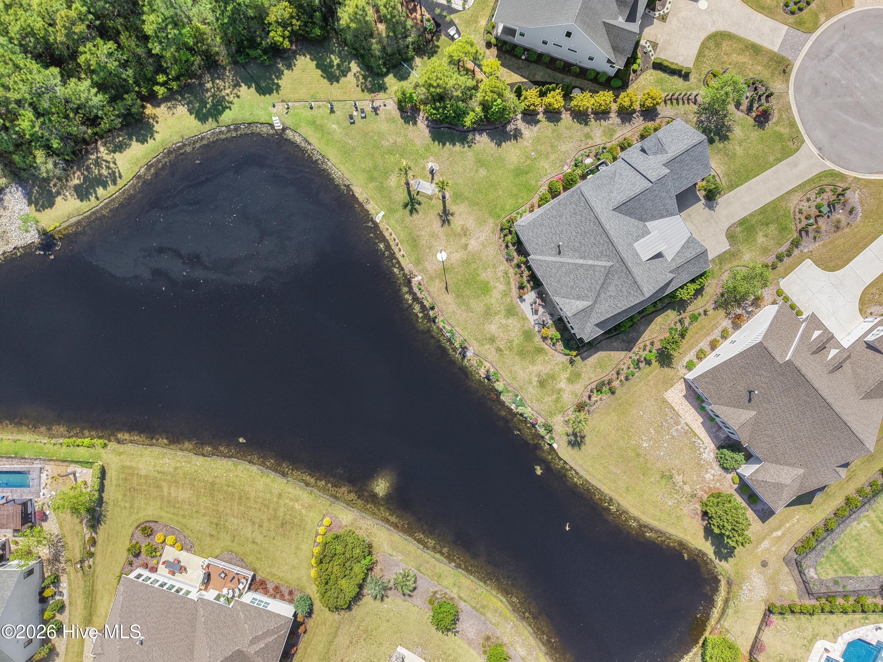 100560288 | Photo 107