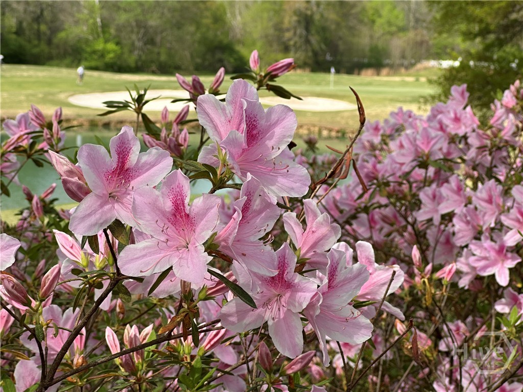 711 Bluff Road, Statham, GA, 30666