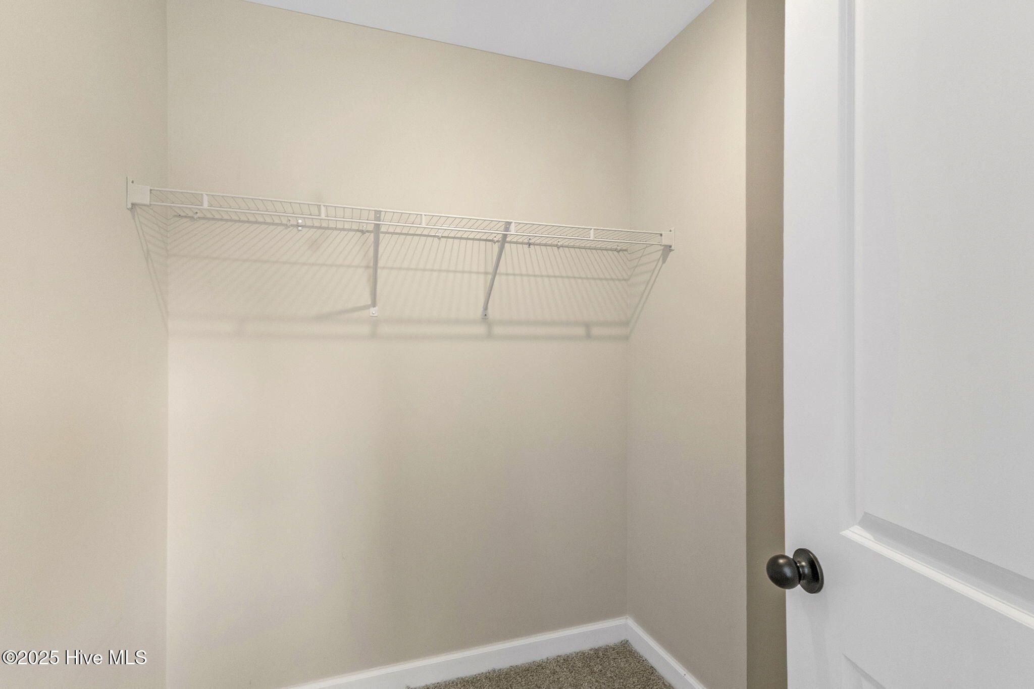 100538262 | Photo 30