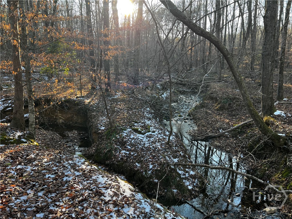 2285 Cherokee Road, Comer, GA, 30629