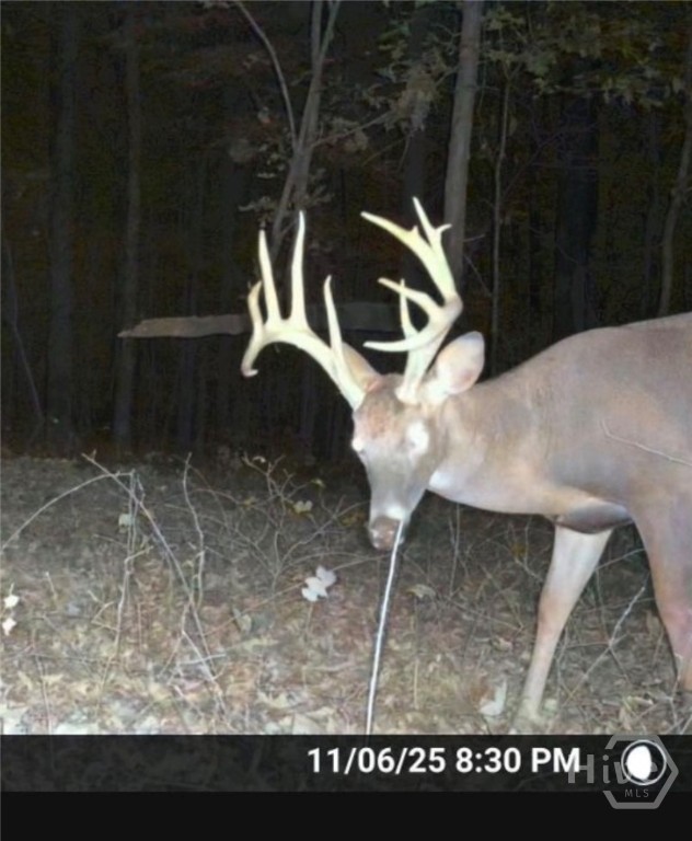 Homes for sale in Comer, GA | 0 Ga Hwy 72, Comer, GA 30629 | MLS# CL344632