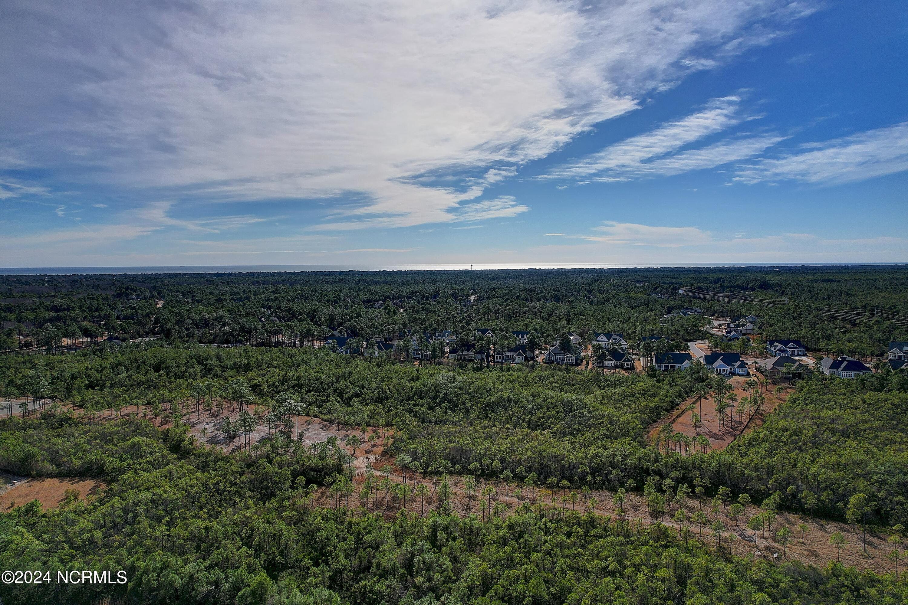 100559108 | Photo 17