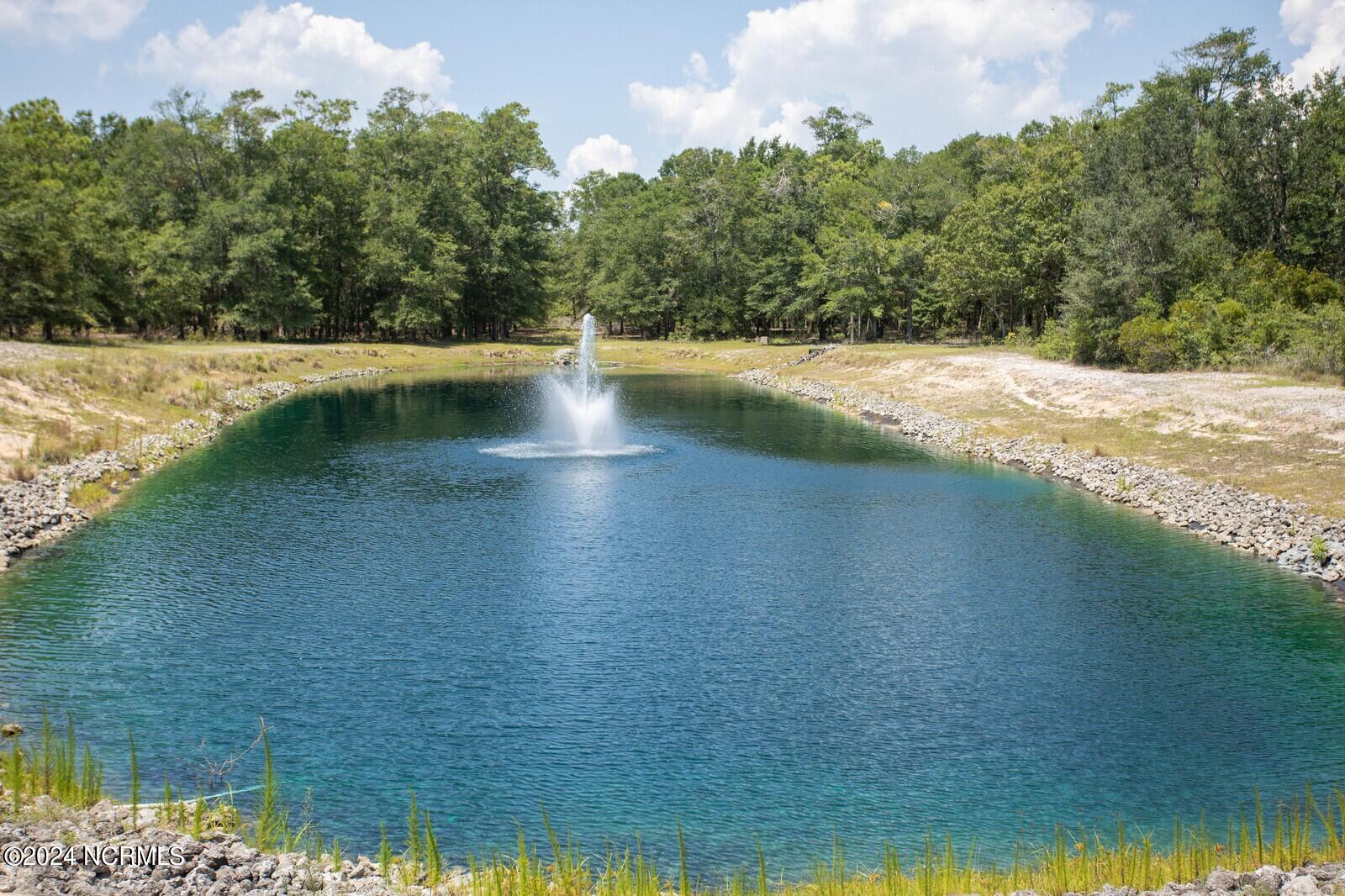 100560630 | Photo 37