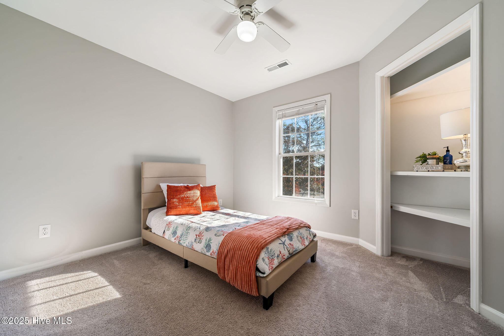 100539157 | Photo 71