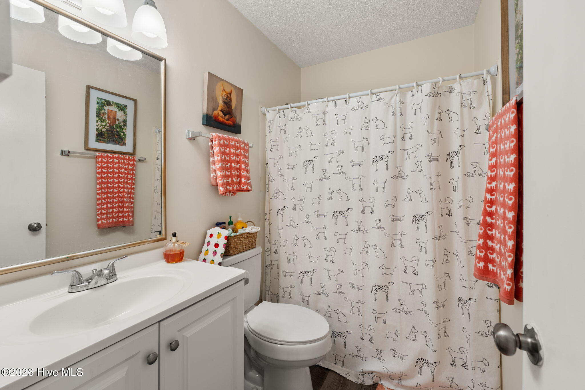 100554784 | Photo 22