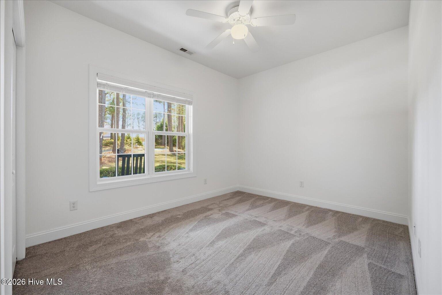 100564085 | Photo 29