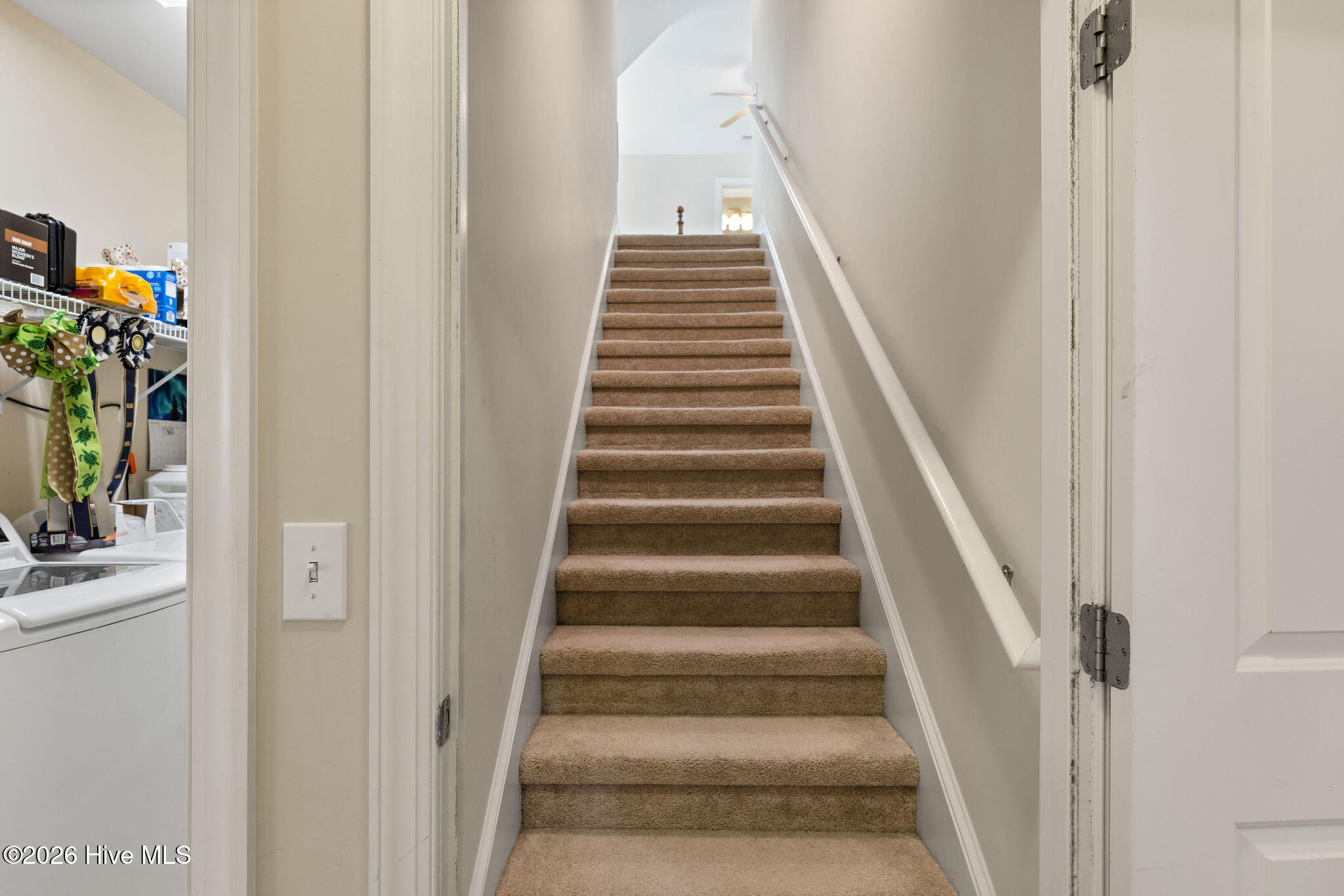 100554560 | Photo 37