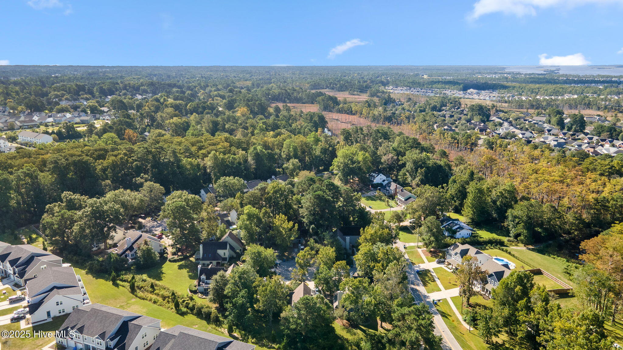 100535092 | Photo 42