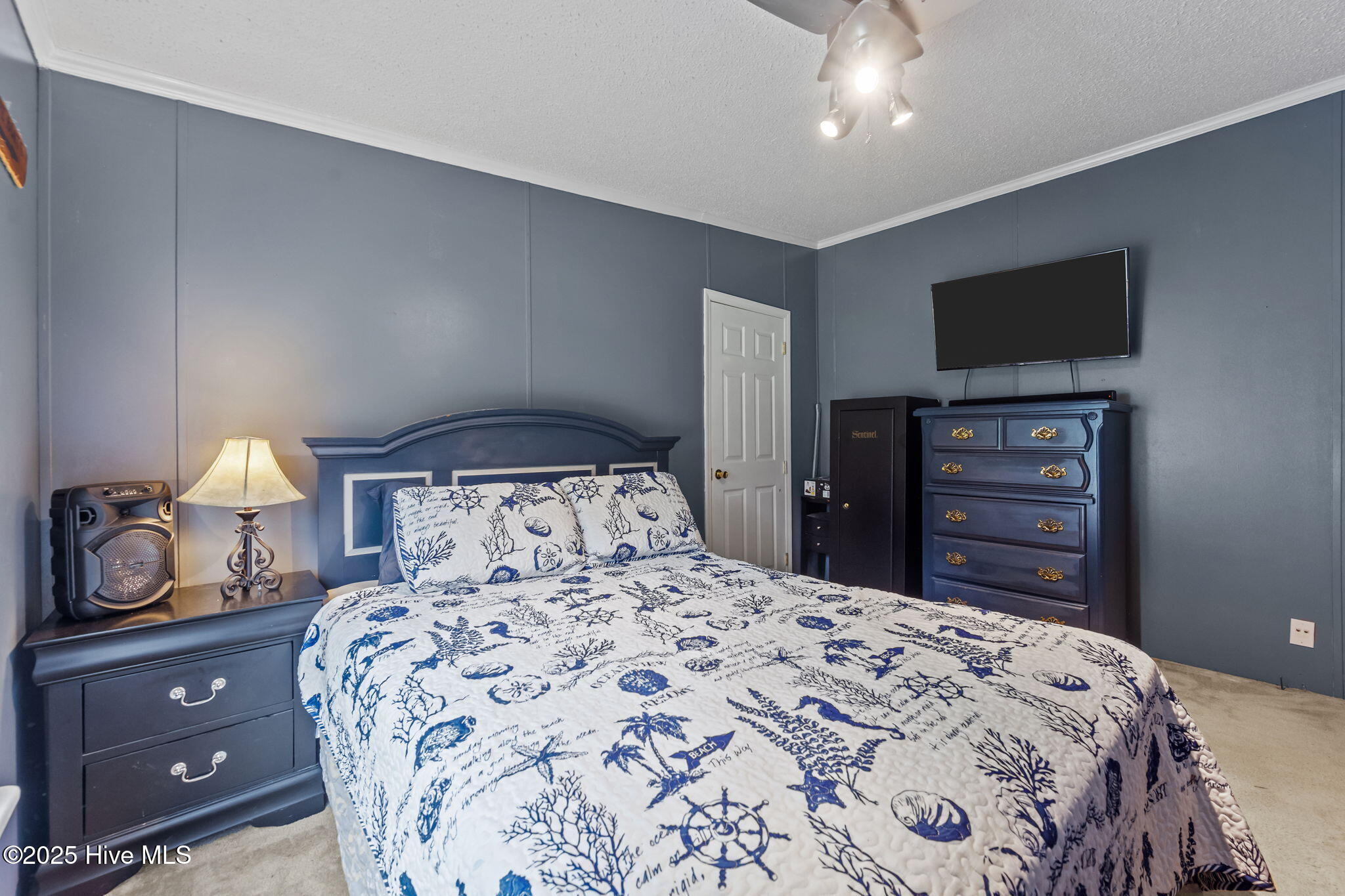 100537137 | Photo 35