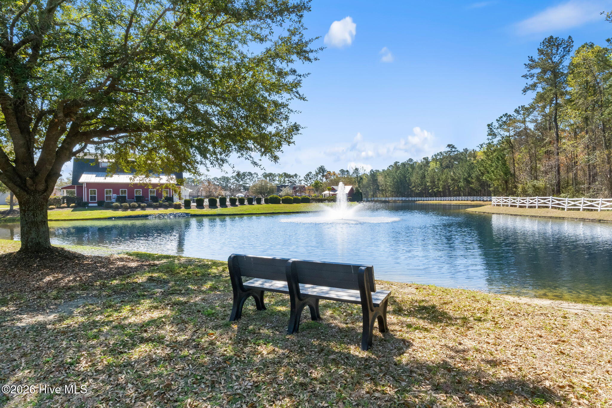 100562407 | Photo 28