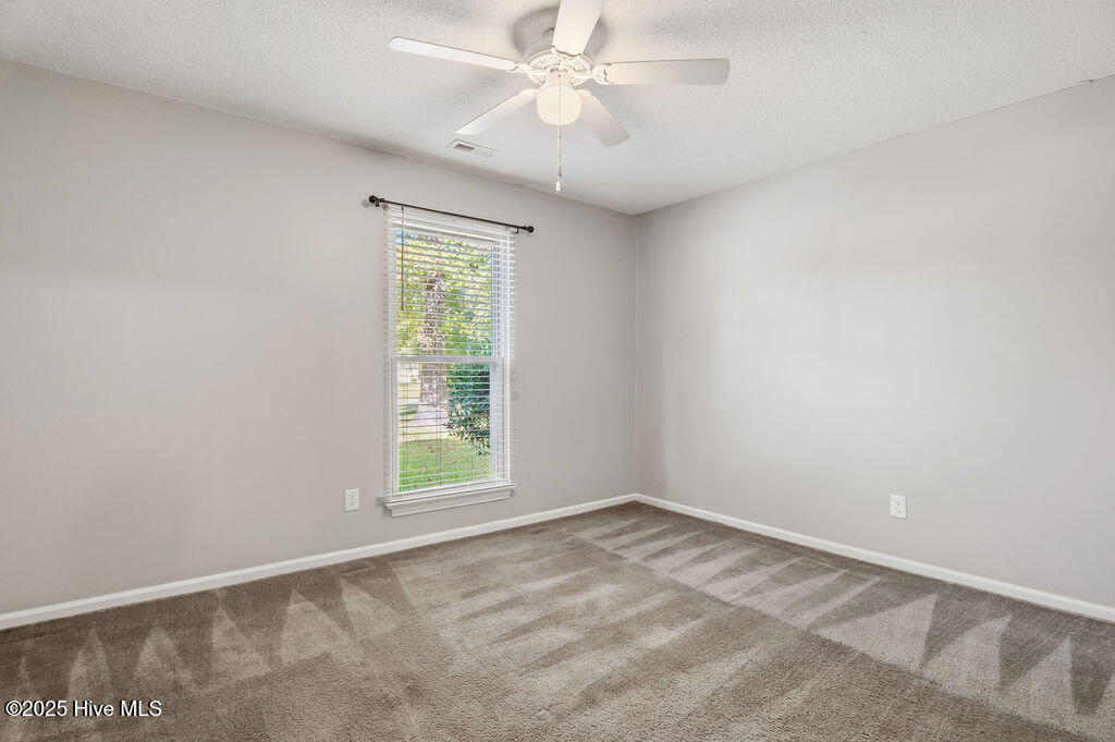 100538404 | Photo 37