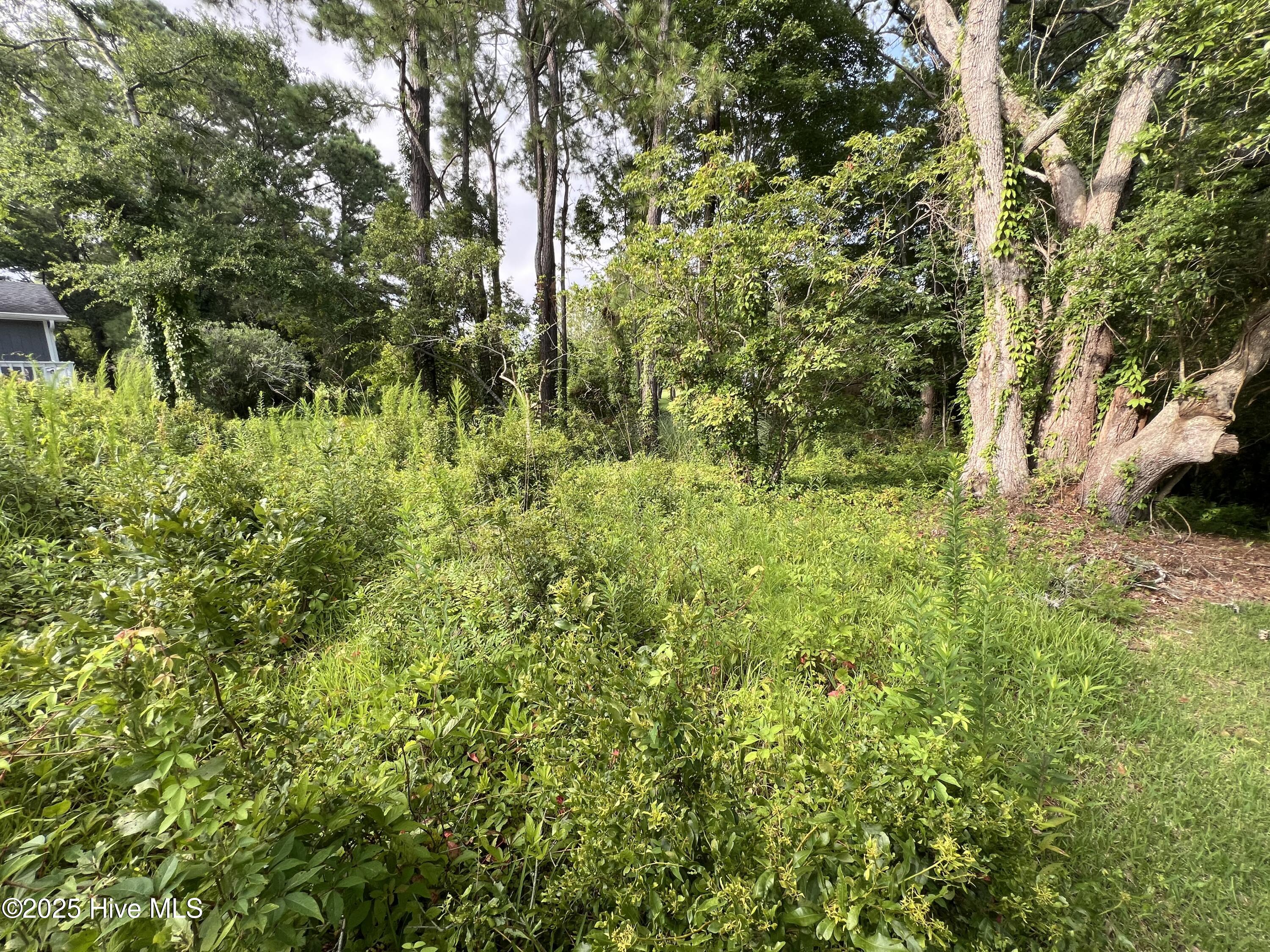 100521126 | Photo 14