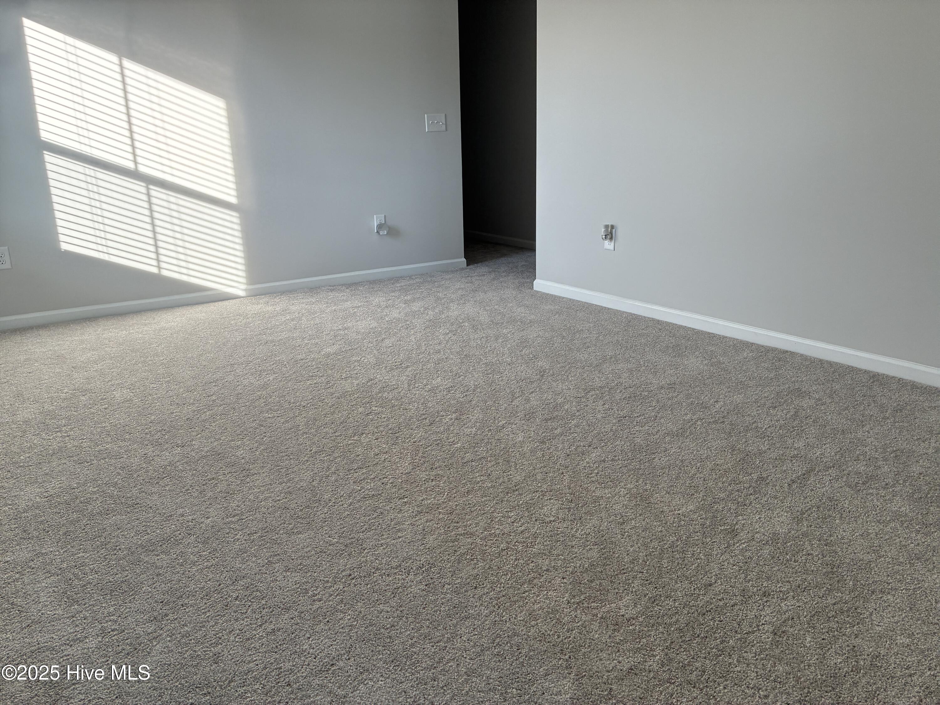 100569016 | Photo 26