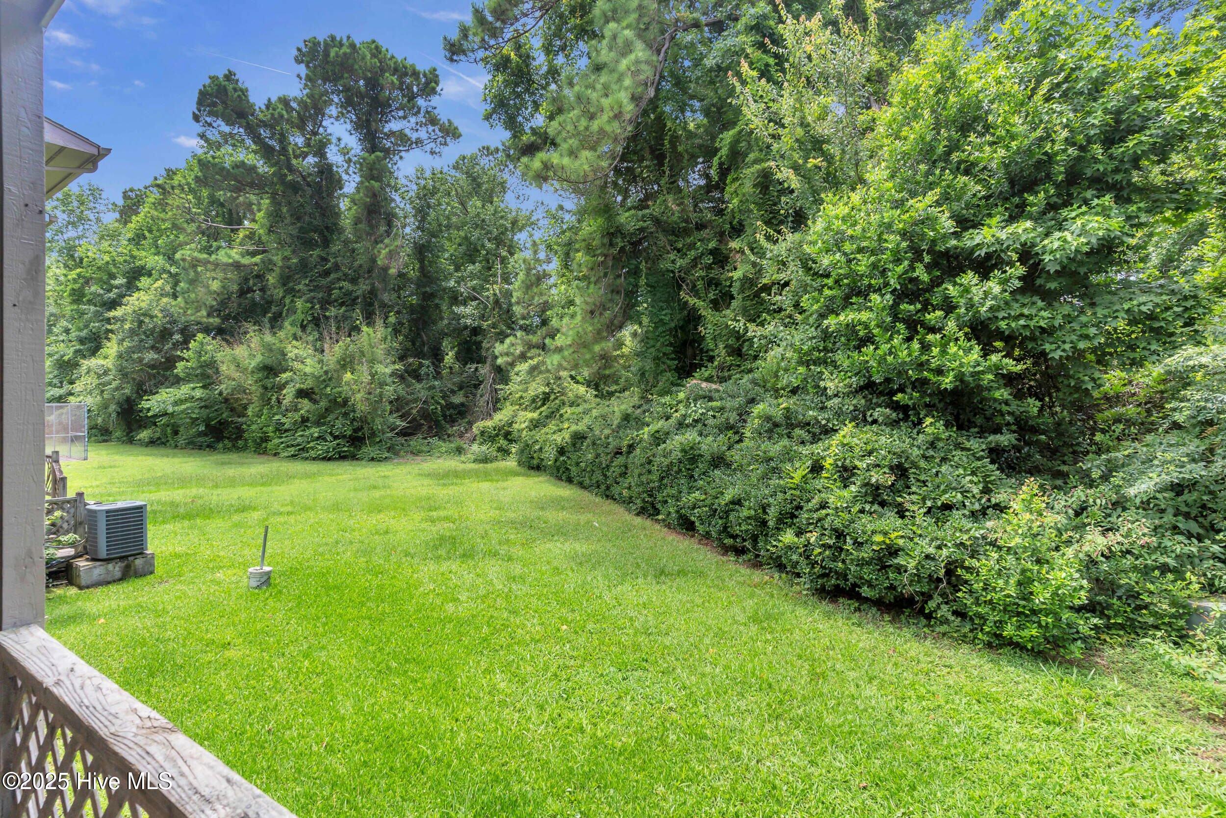 100542371 | Photo 17